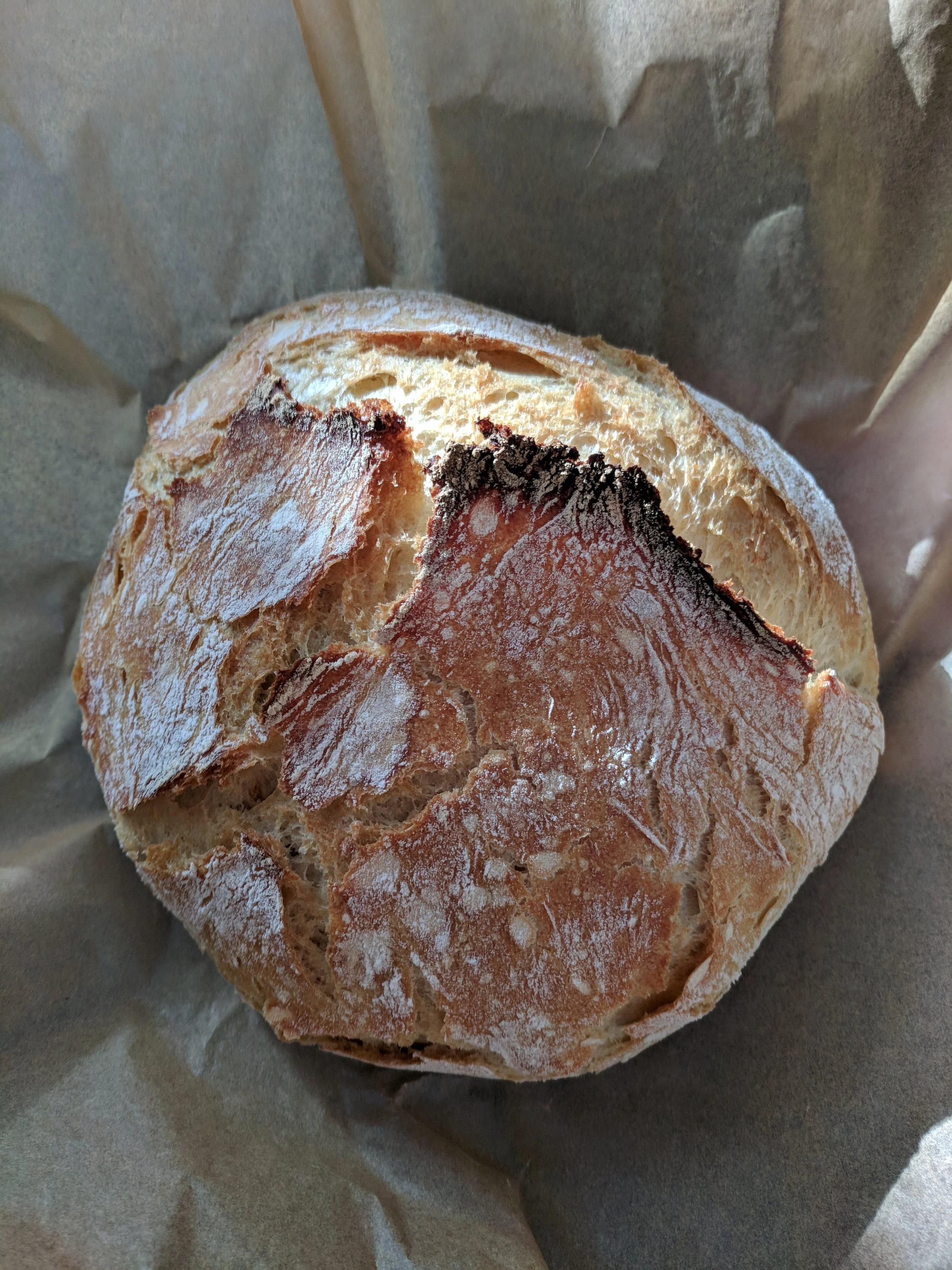 Fresh sourdough boule.