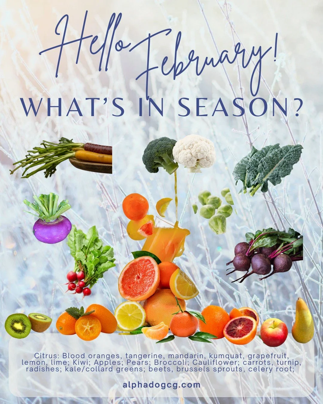 Skate through February and the bitter cold with healthy, colorful foods! In-season produce, boosting immune to fight winter colds and colors to brighten days!!! Mix a smoothy, bake veggies, or juice that Vitamin C(itrus)! 
Need guidance? Register for