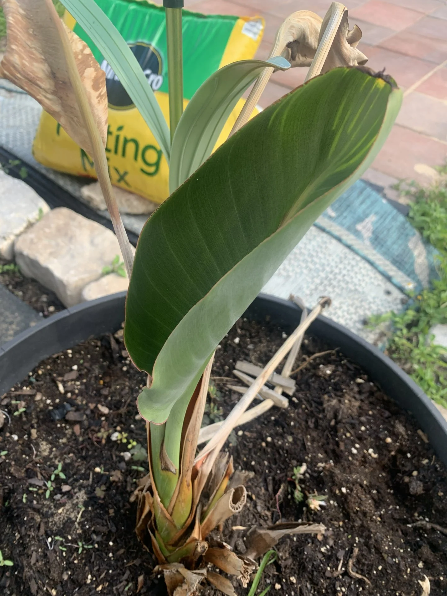 Have you ever met someone that just knows what they want to do in life?  I read people&rsquo;s posts everyday.  I want to believe that the positive and motivating ones are people living their best self and using their gifts and talents. Please tell m