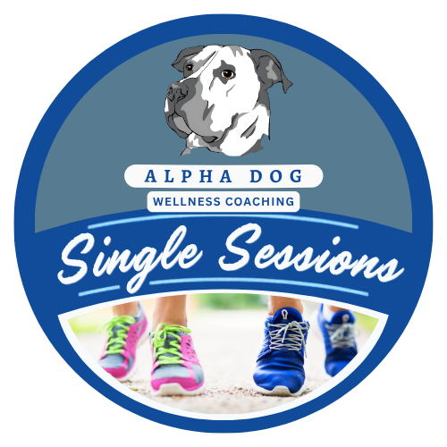 Wellness Coaching - Single Sessions
