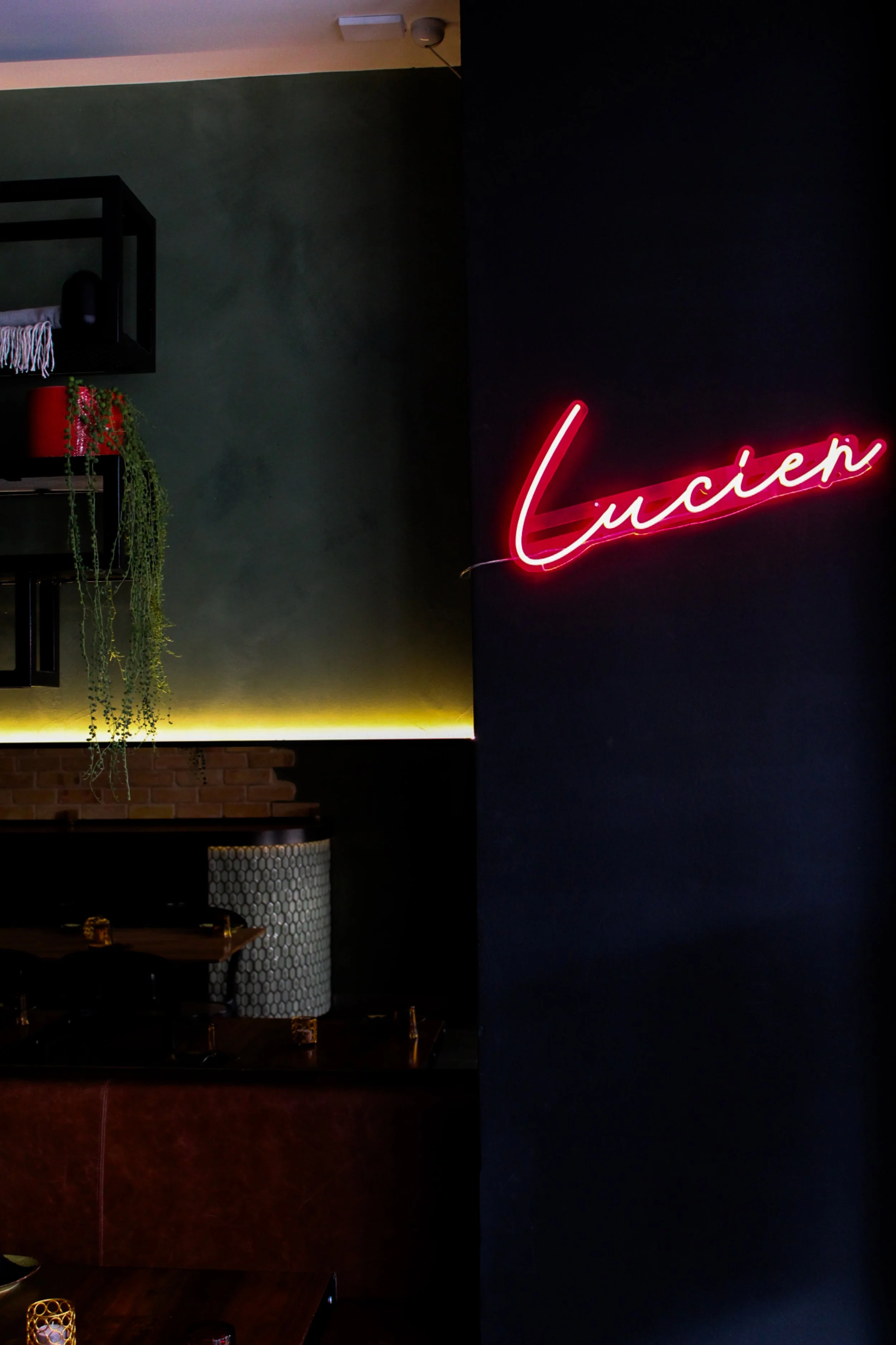 Interior of a restaurant or bar with dim lighting, a dark wall, hanging plants, and a neon sign that reads 'Lucien' in red cursive neon.