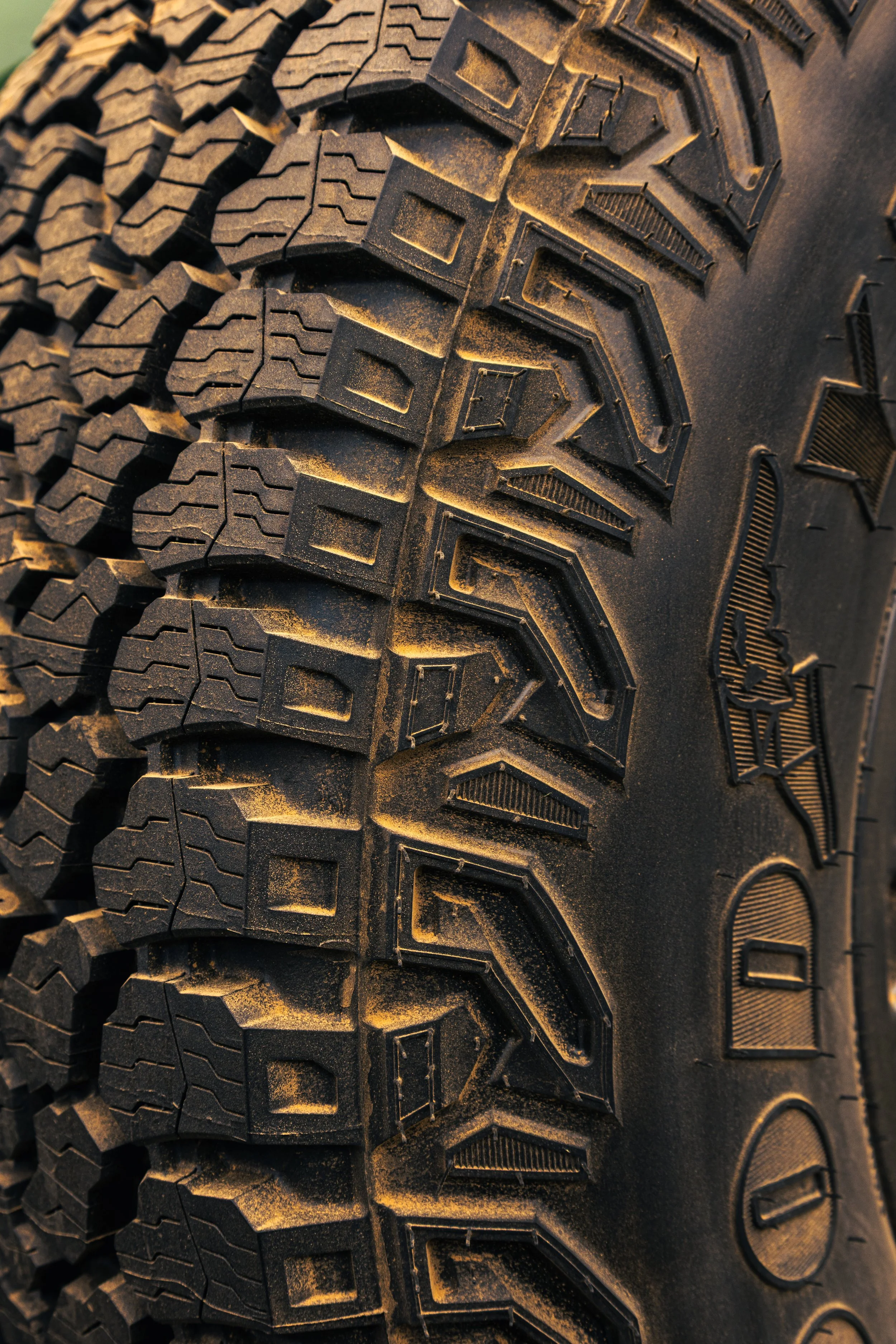 Ford Wild_BTS_TMB_31.jpg
