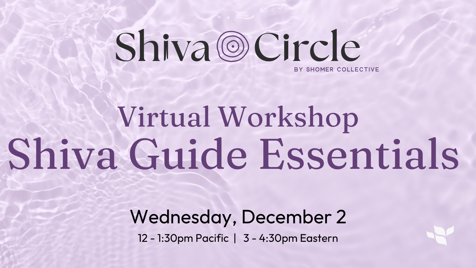 Shiva Guide Essentials Workshop (October 2026) (Copy)