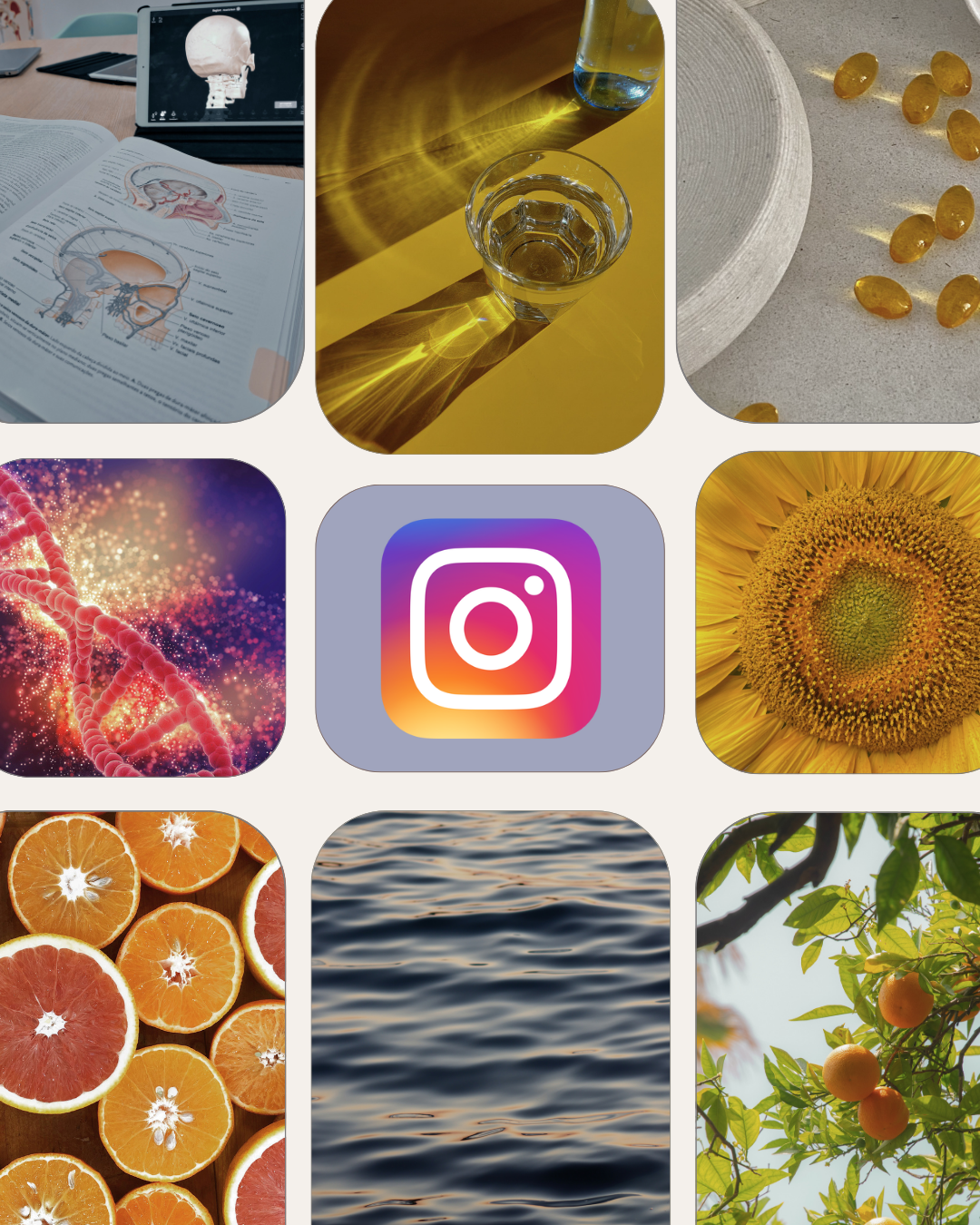 Dr. Troy Rohn's Instagram page