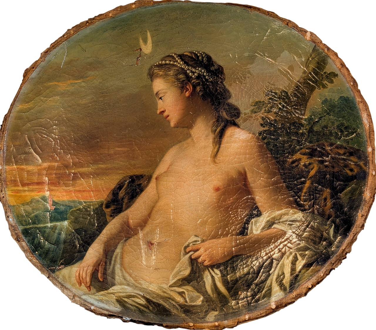 PXL_20250124_142421251~5-Photoroom.png