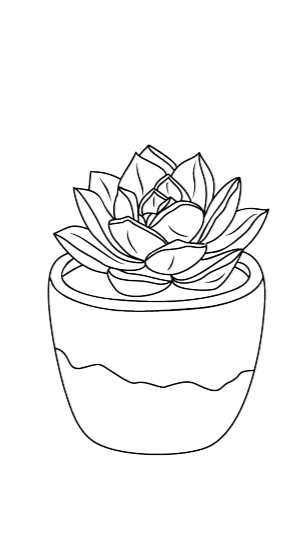 Outline drawing of a potted succulent plant with multiple layered leaves.
