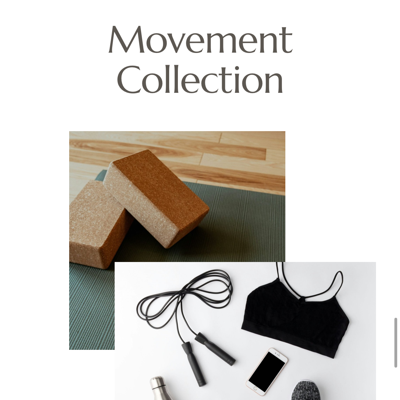 TwT || The Movement Collection™