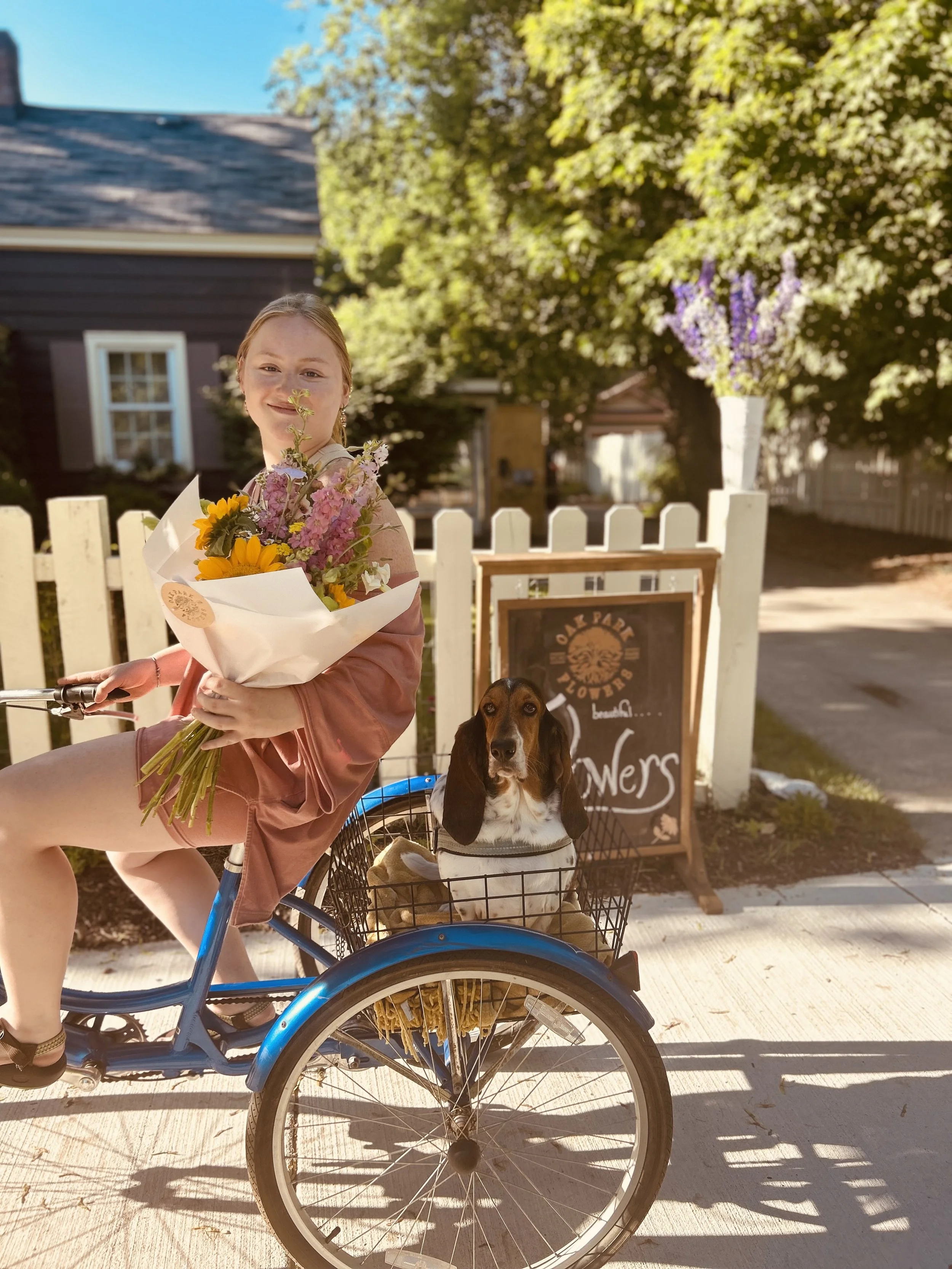 A young woman sitting on a blue bicycle holding a bouquet of flowers, with a basset hound in a front basket, standing on a sidewalk in front of a white picket fence and a chalkboard sign outside a flower shop under a large leafy tree.
