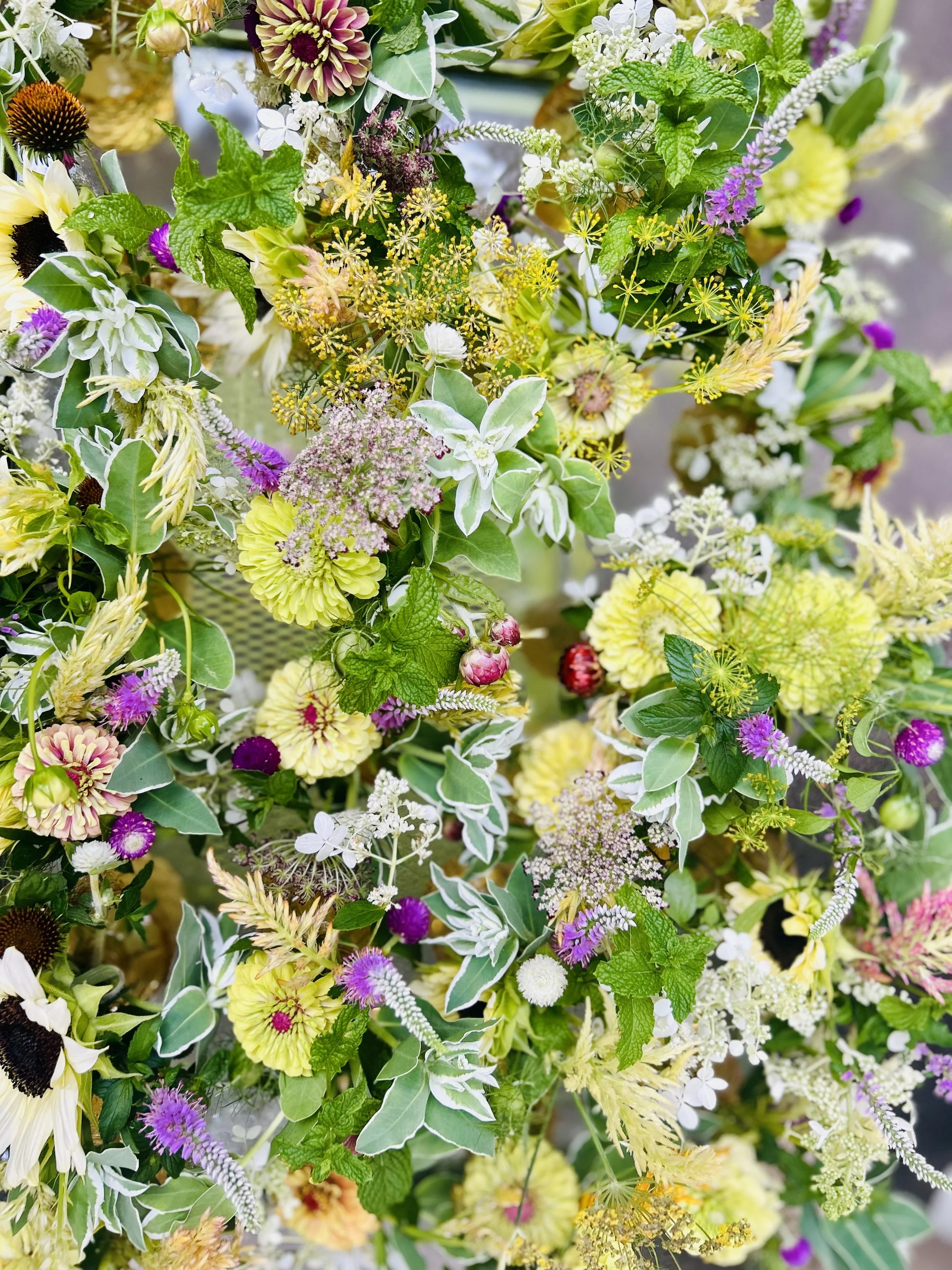 Full season Subscription