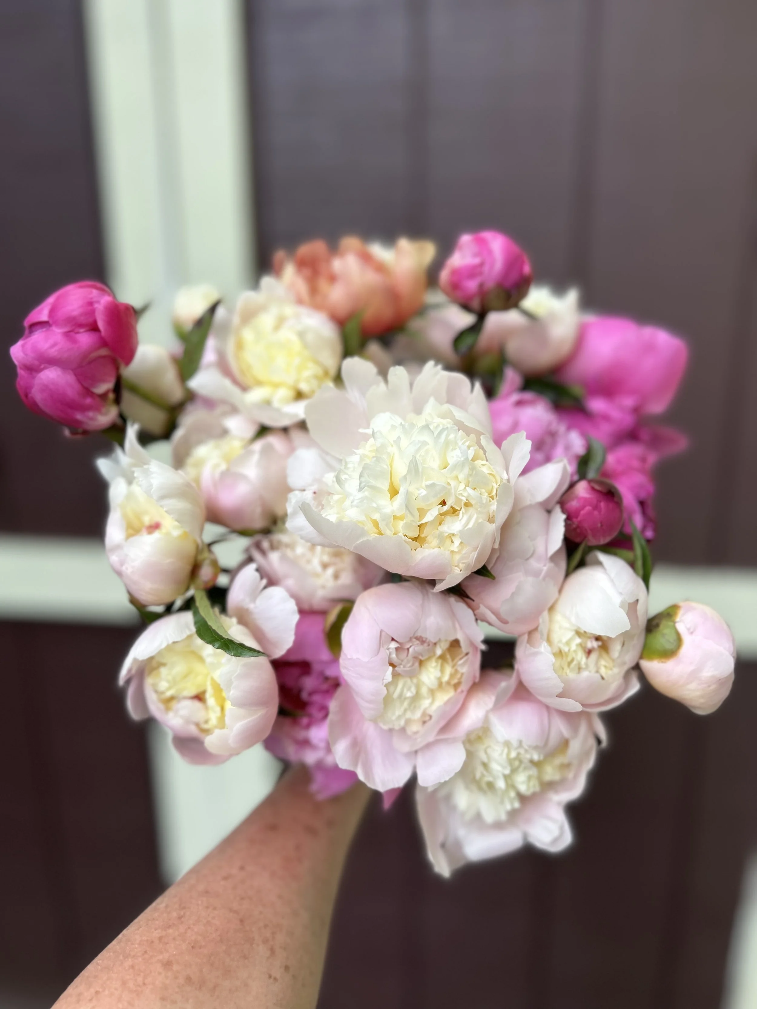 Spring flower subscription