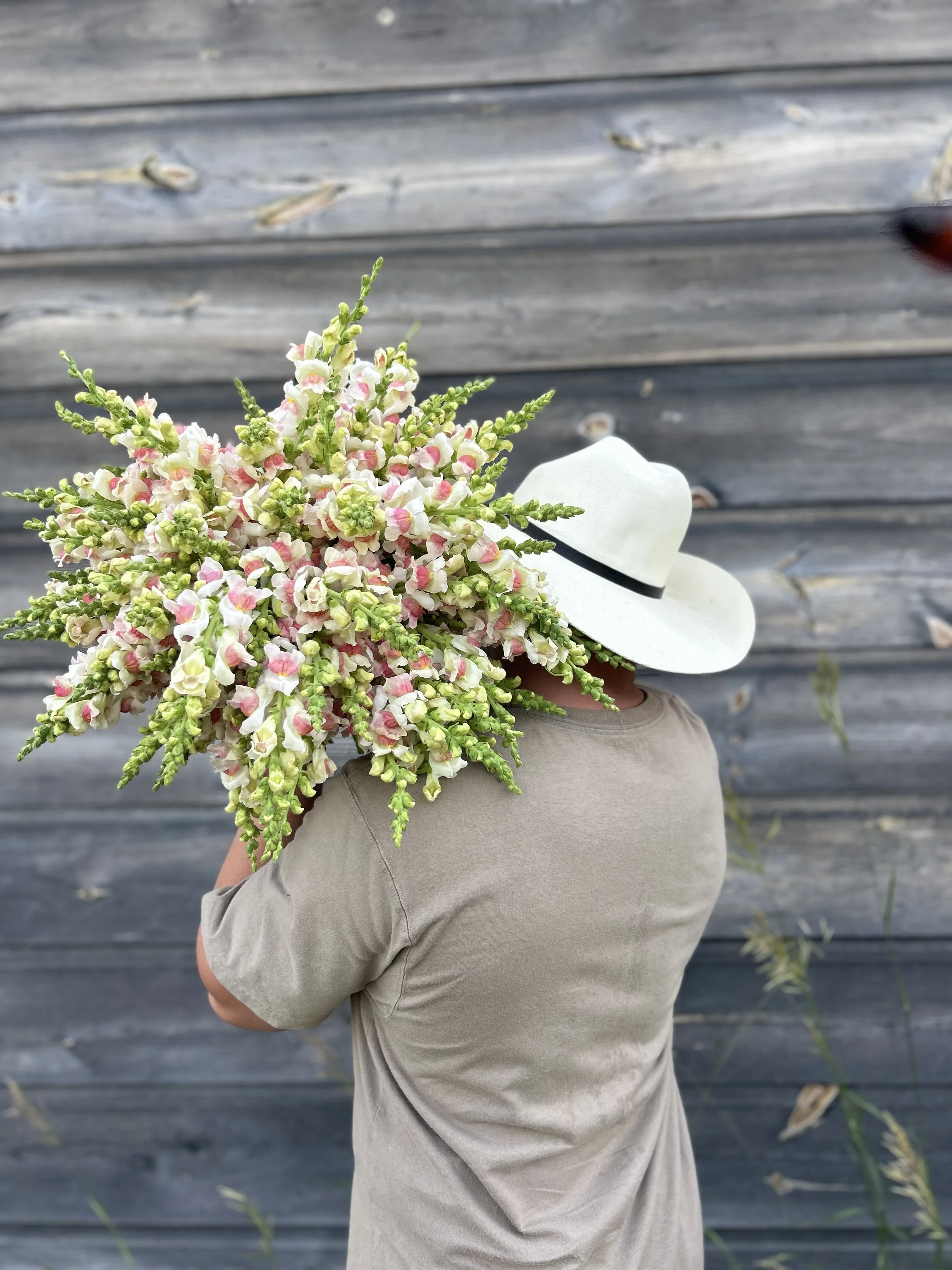 A person wearing a beige shirt and a white wide-brimmed hat with a black band holding a large bouquet of pink and white flowers against a weathered wooden background.