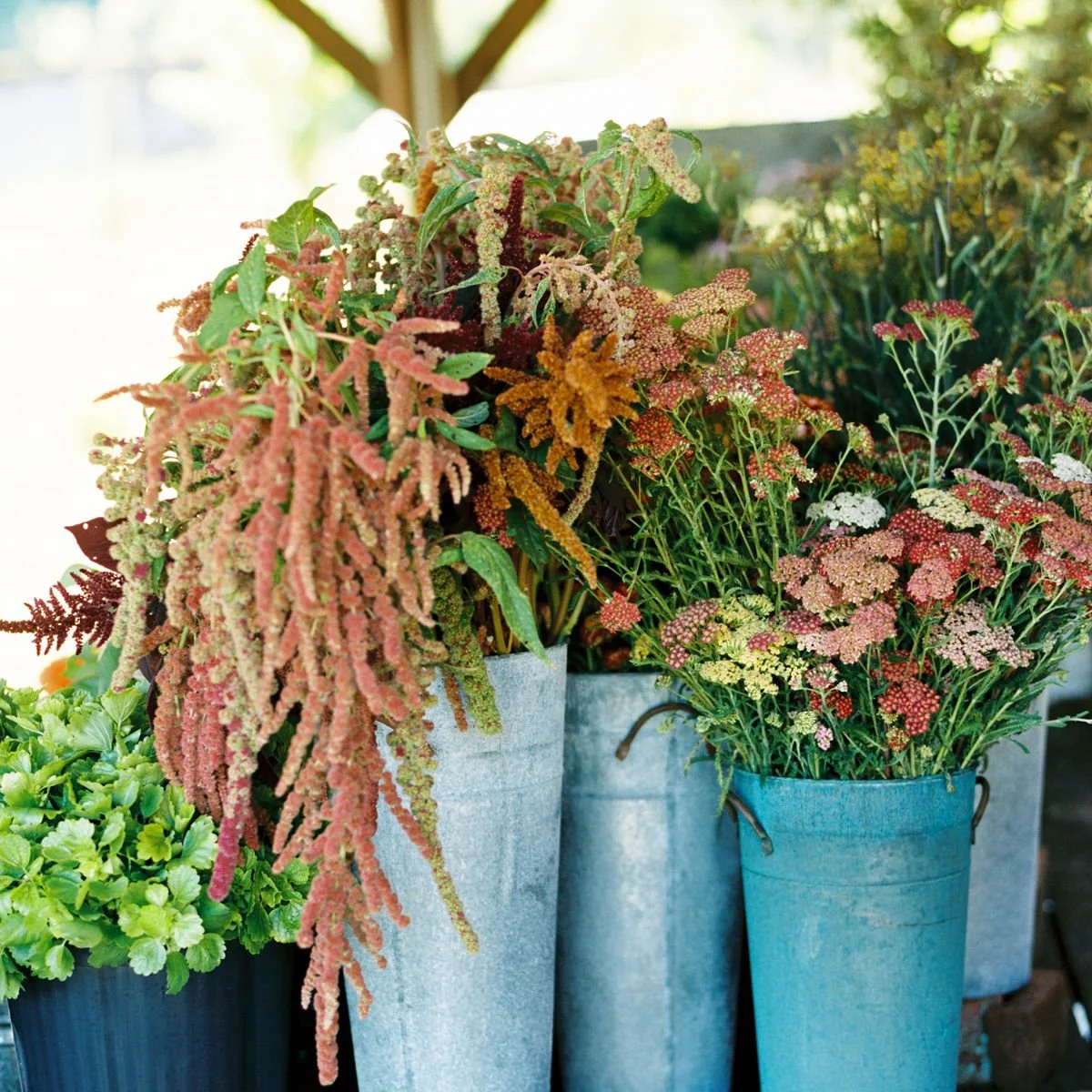 Set of three metal containers filled with colorful flowering and leafy plants, displayed outdoors with natural light.