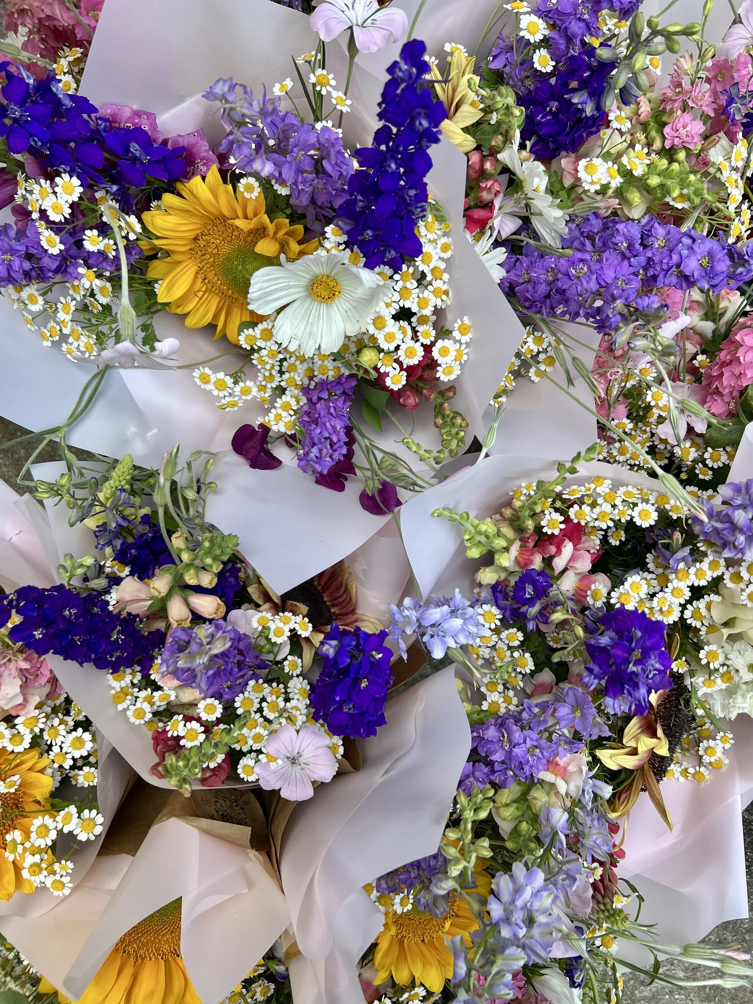 High Summer Subscription