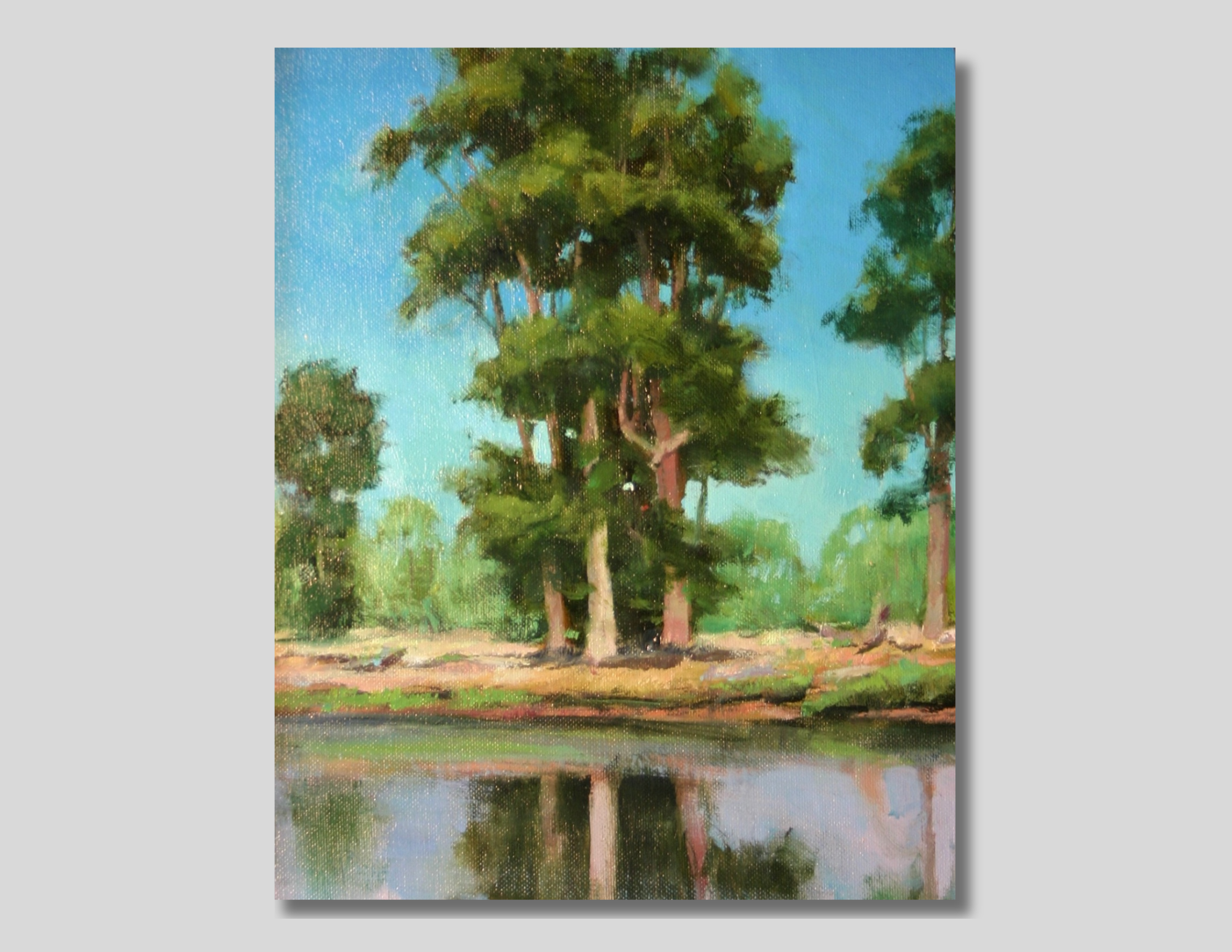 Quiet Reflections, 10 x 8 in.