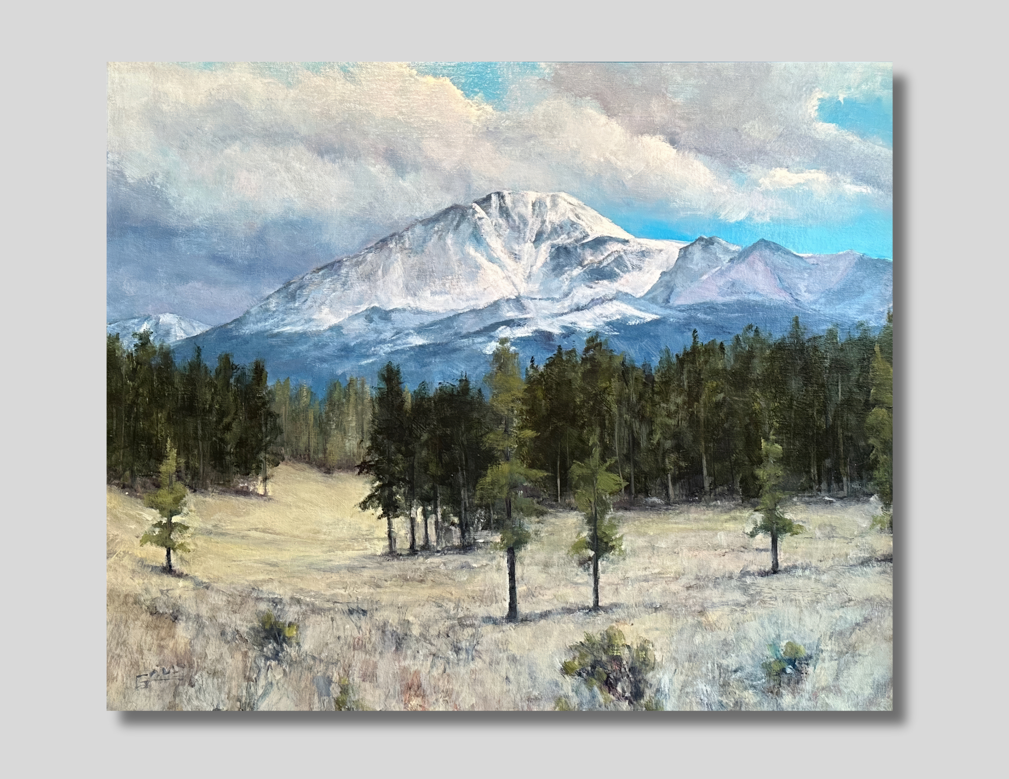 View of Pikes Peak from Trout Creek Ranch, 20 x 24, Oil on Panel