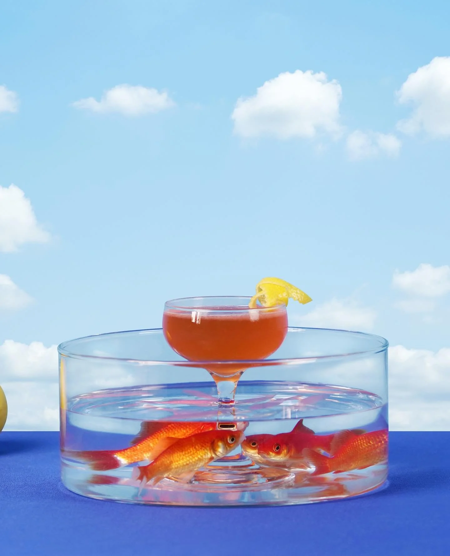 PHOTOGRAPHY &bull; ART DIRECTION &bull; SET DESIGN &bull; for @monsieurmoutardedijon