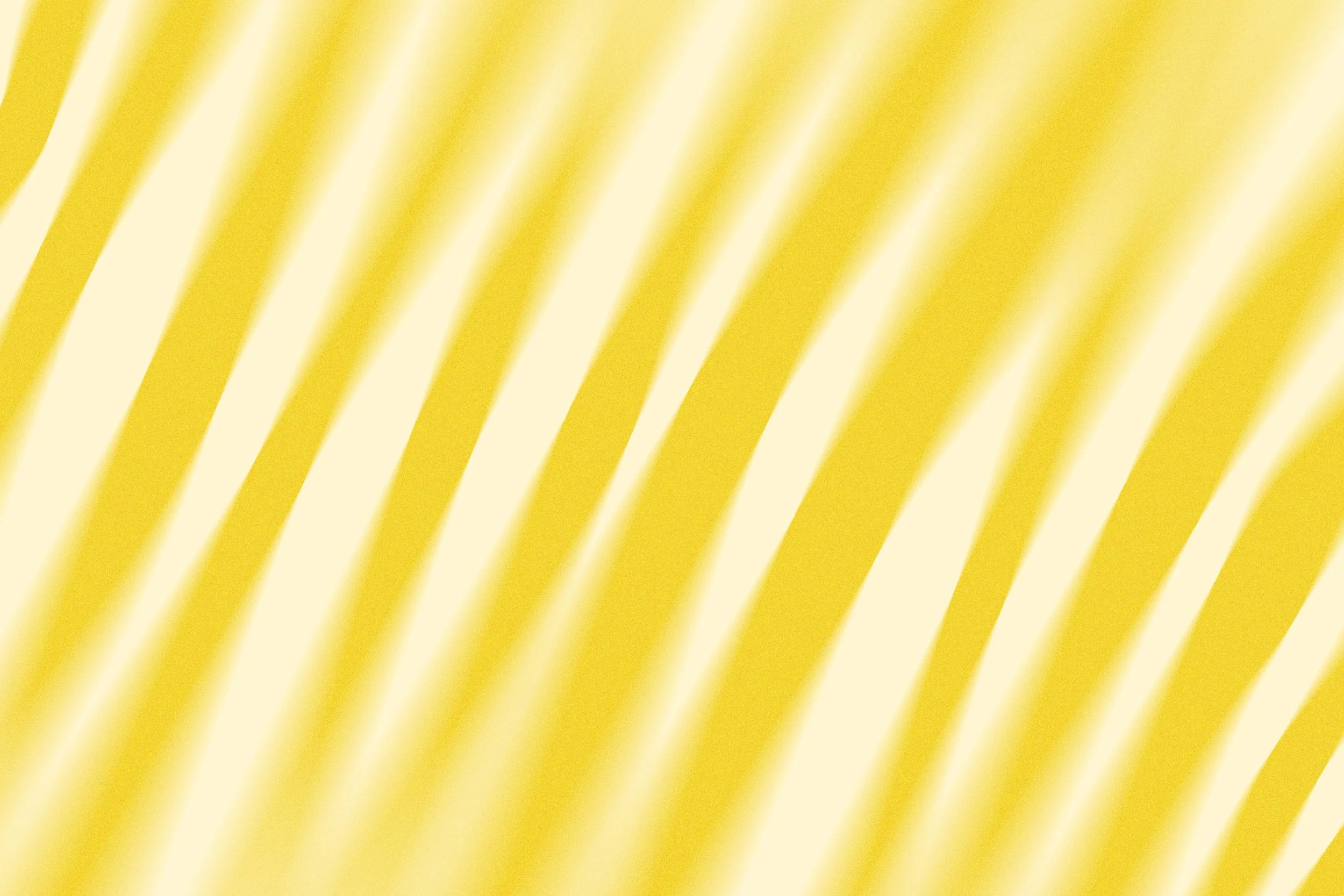 STUDIO ZORSE_3.jpg