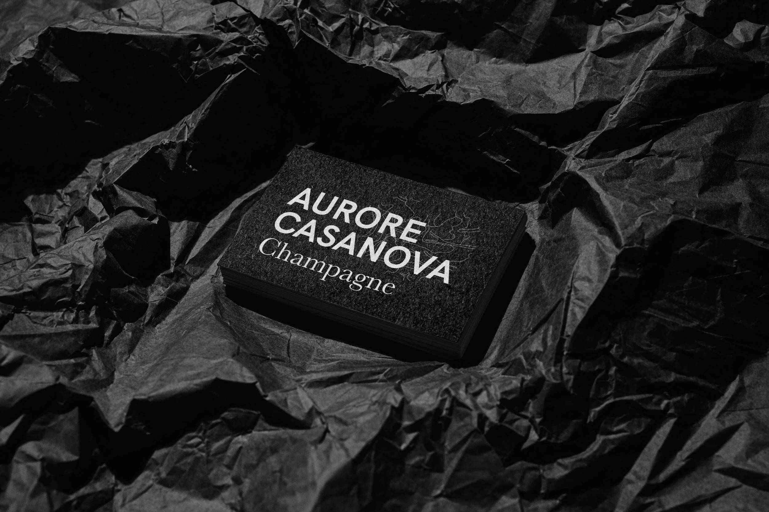 AURORE CASANOVA_CHARTE GRAPHIQUE 14.jpg