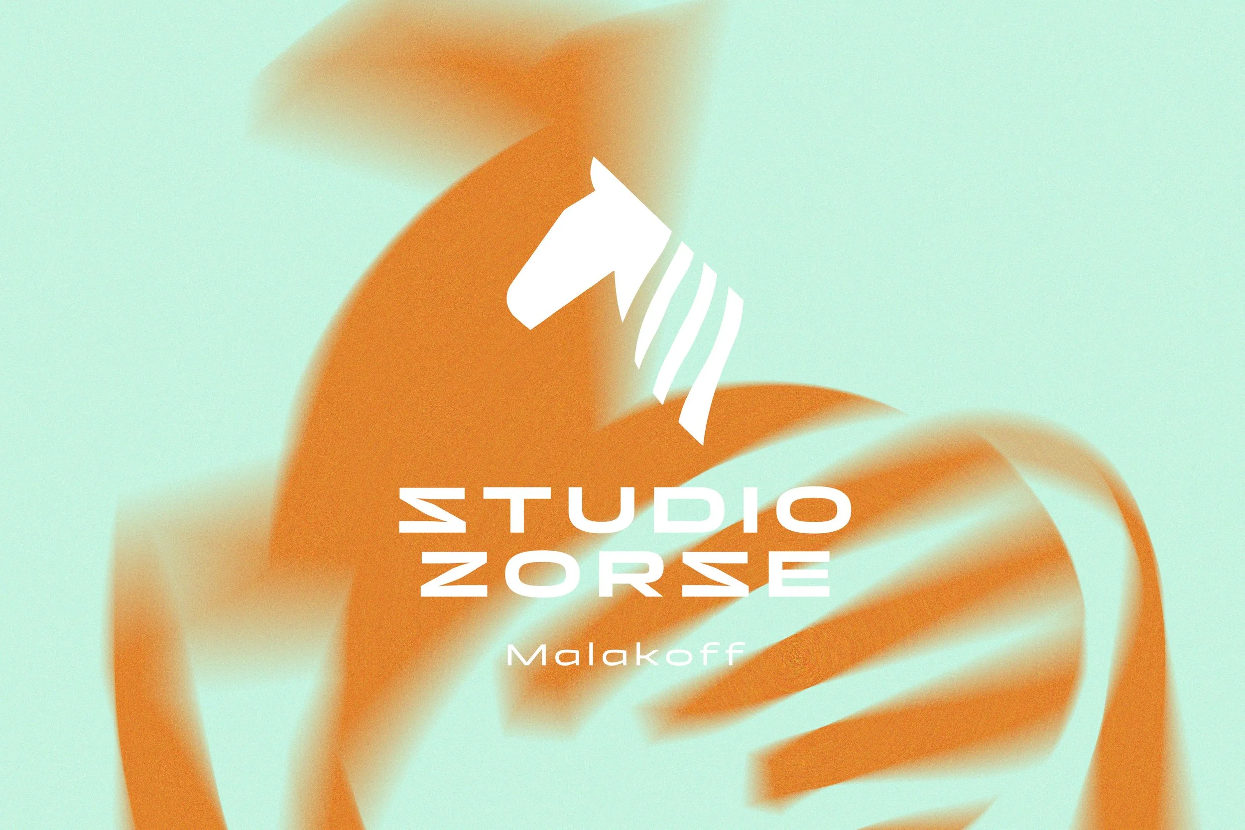 STUDIO ZORSE_2.jpg
