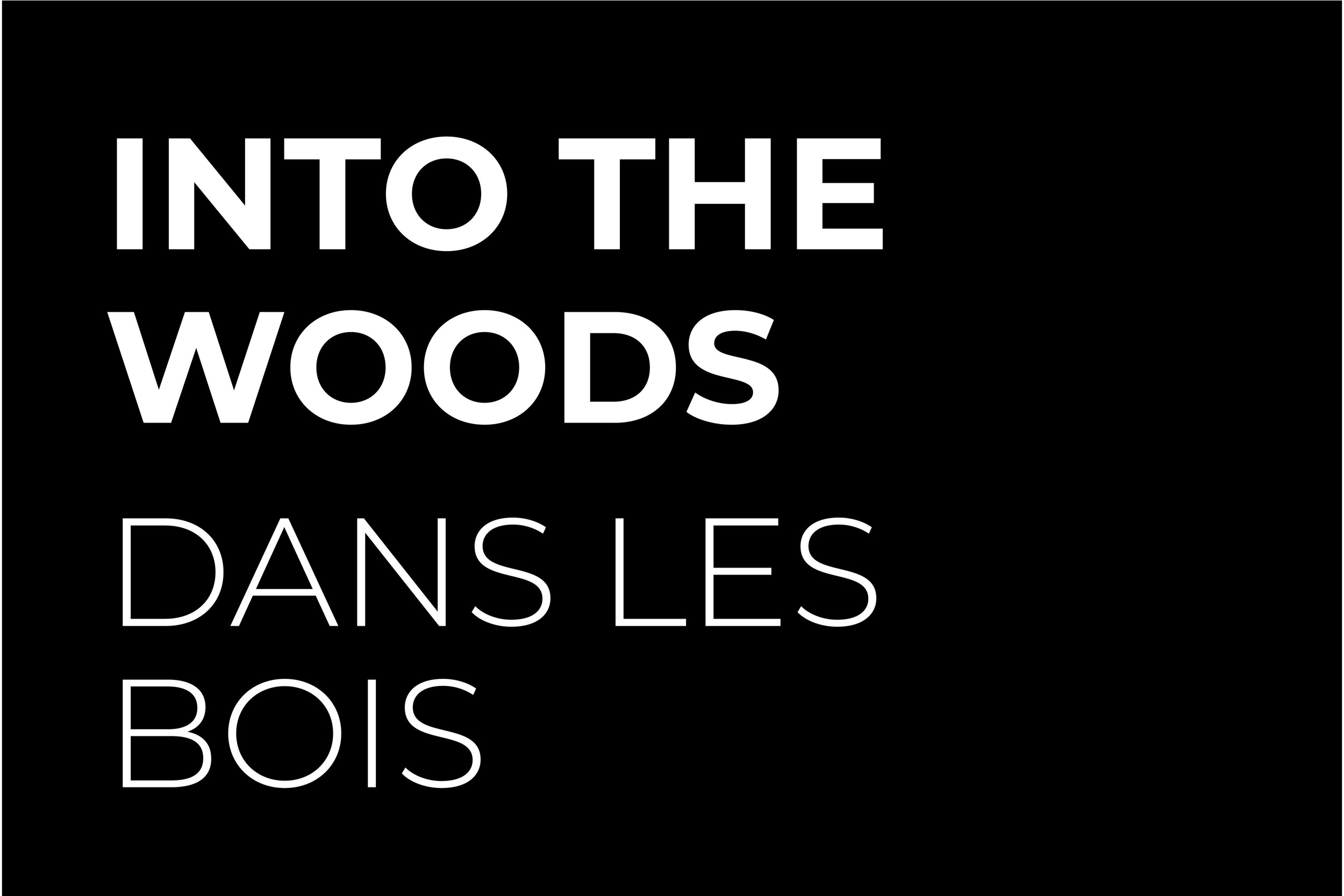 INTO THE WOOD-02.jpg