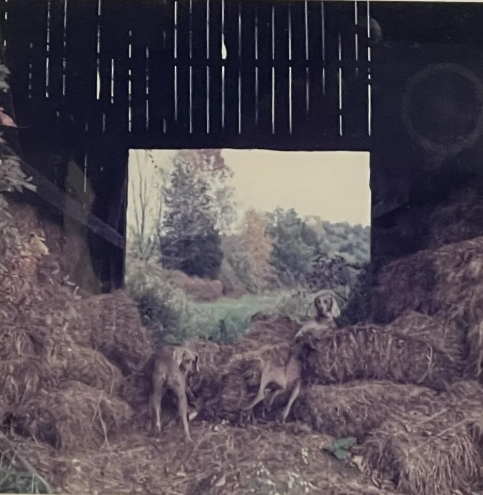 4-Wegman Hay Barn.JPG