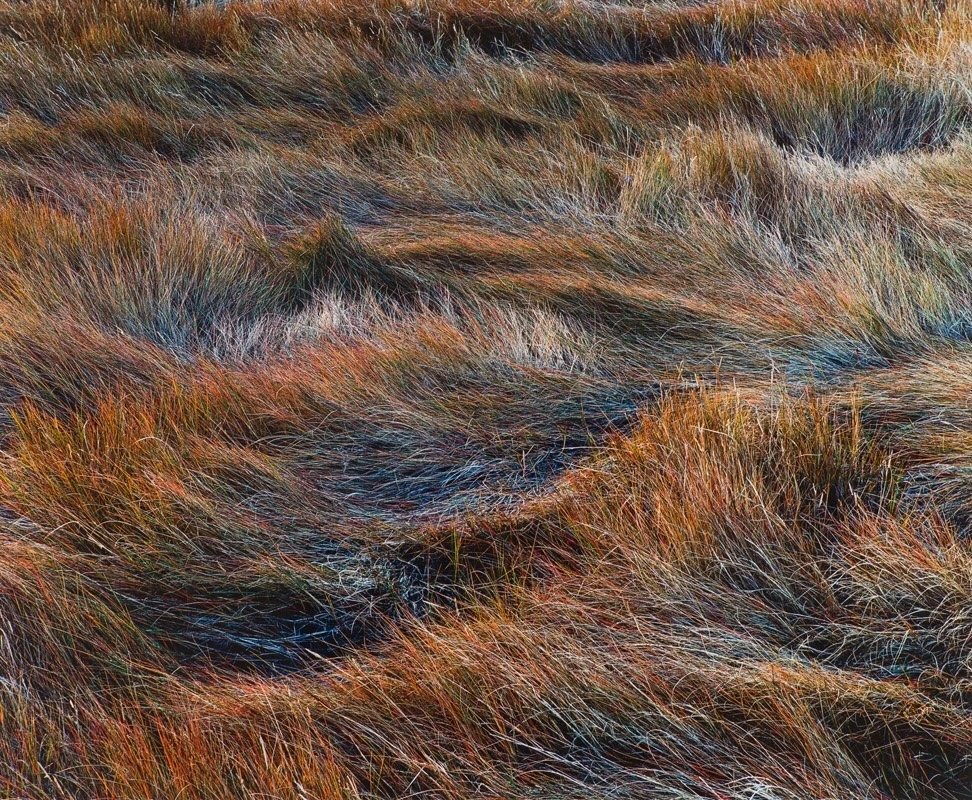 Wawrzonek_John-SaltMarsh.jpg