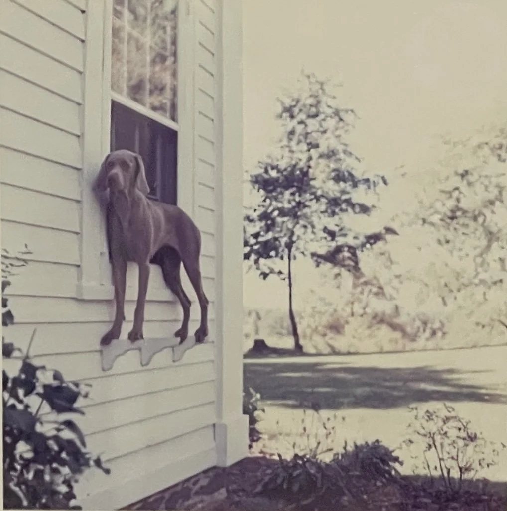 1-Wegman_Window Box.JPG