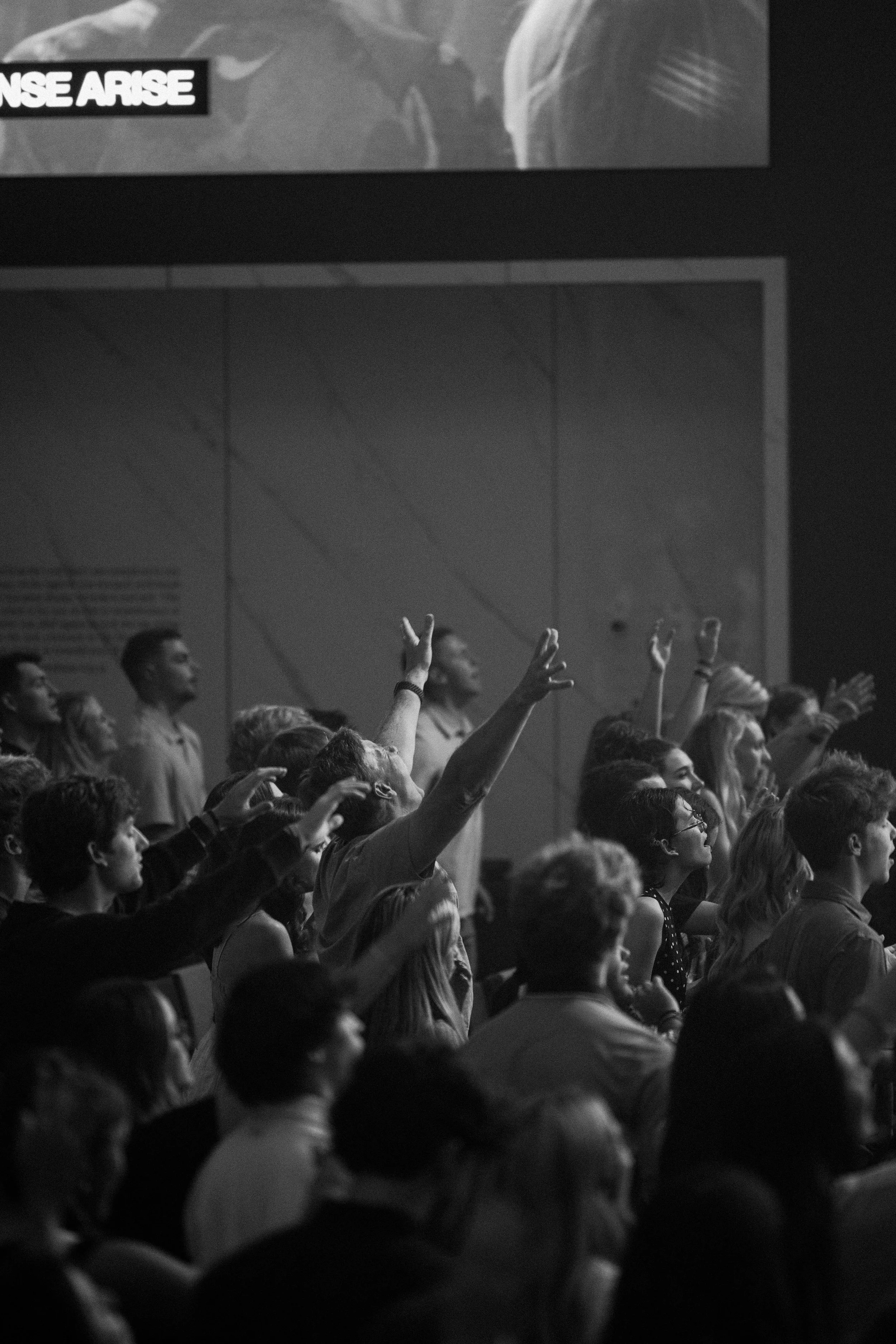 baileys_10.29.23_500-44 (1).jpg