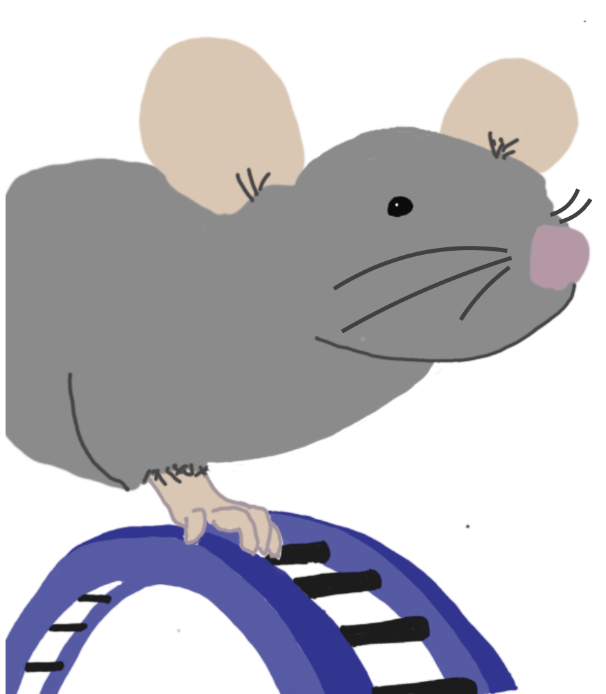 motor task sketch.png