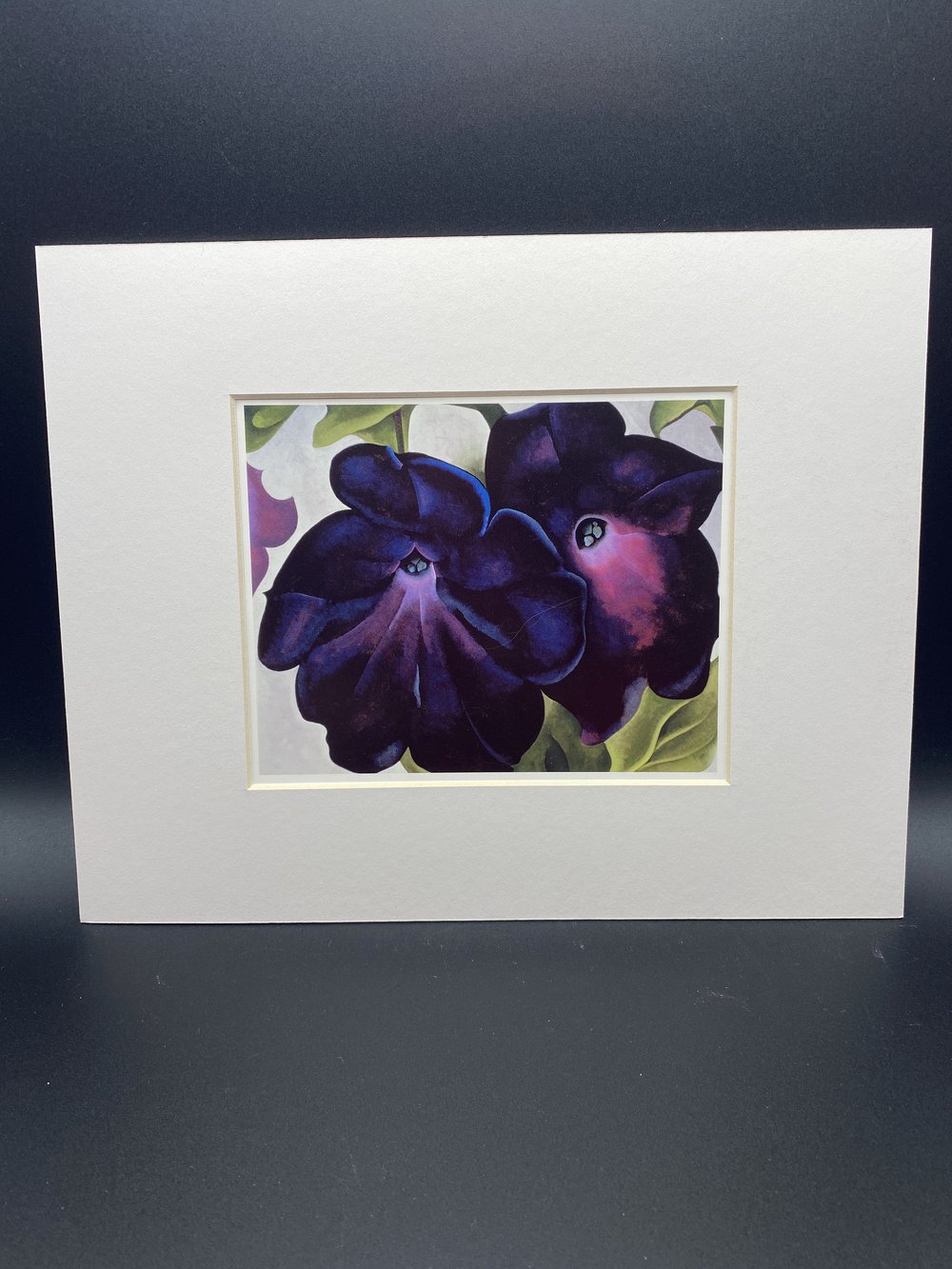 Black and Purple Petunias/オキーフ/ポスター Georgia O'Keeffe Petunias Poster - de Young & Legion of