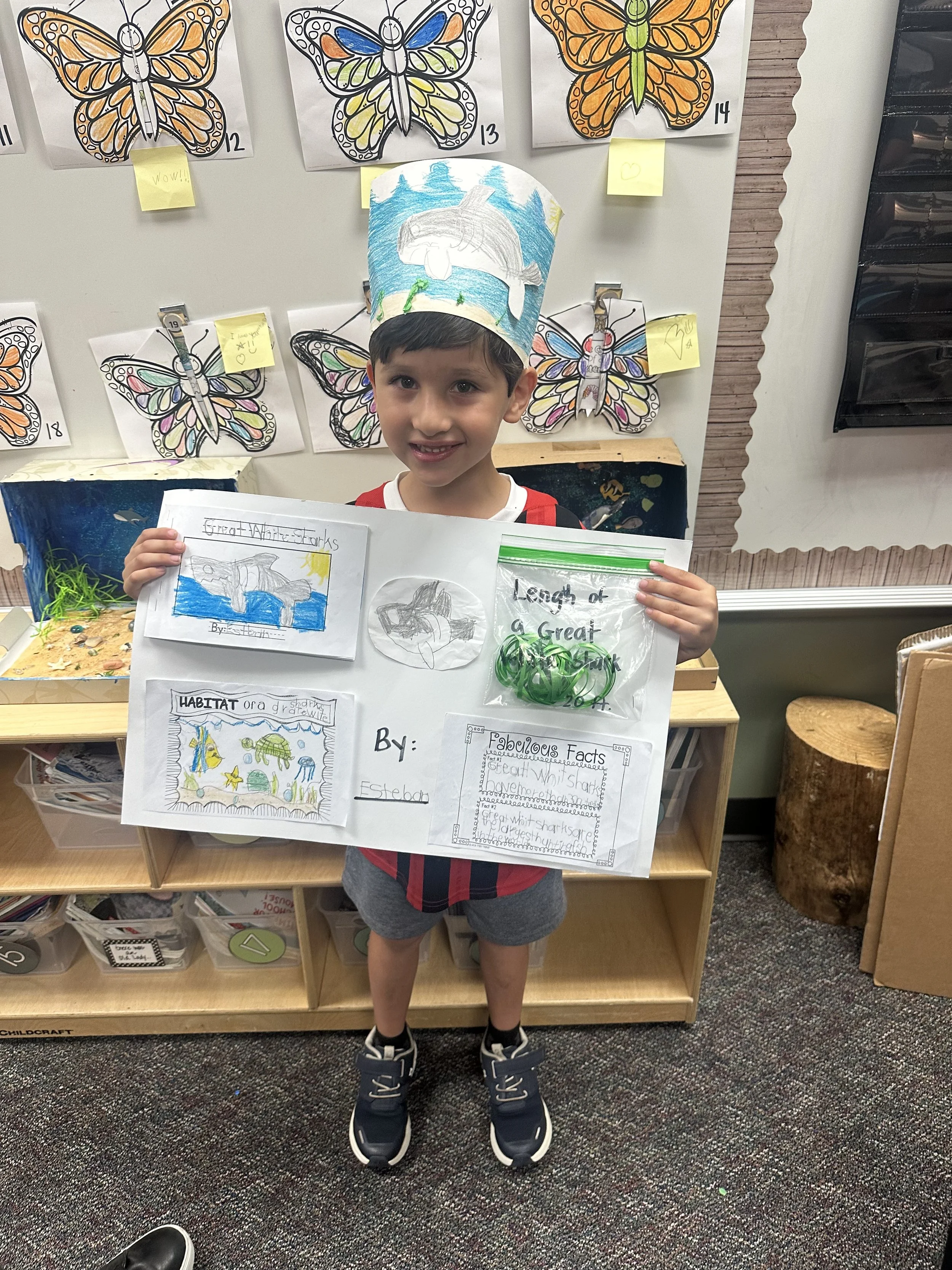 This is my White Shark project