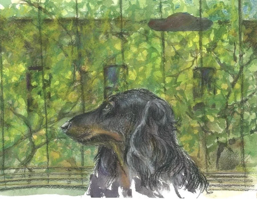 Moka on the fire escape