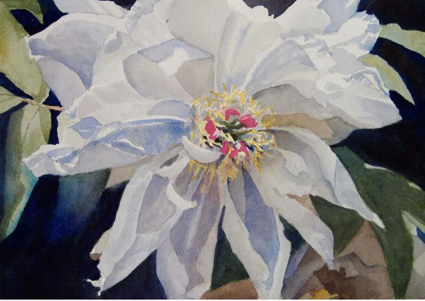 White-Peony.jpg