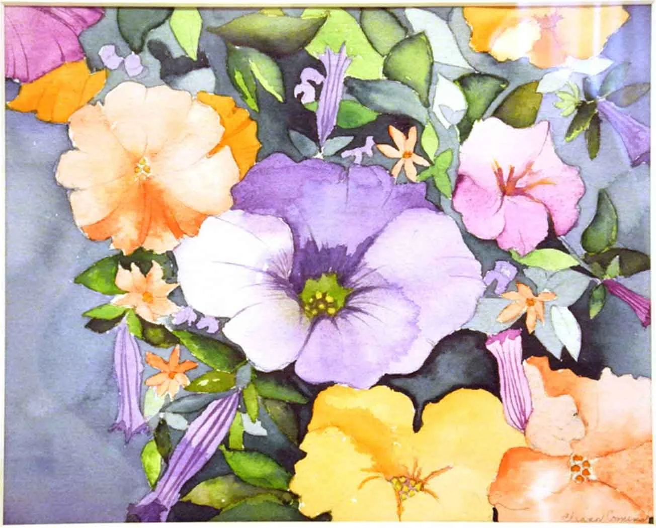 Petunia’s