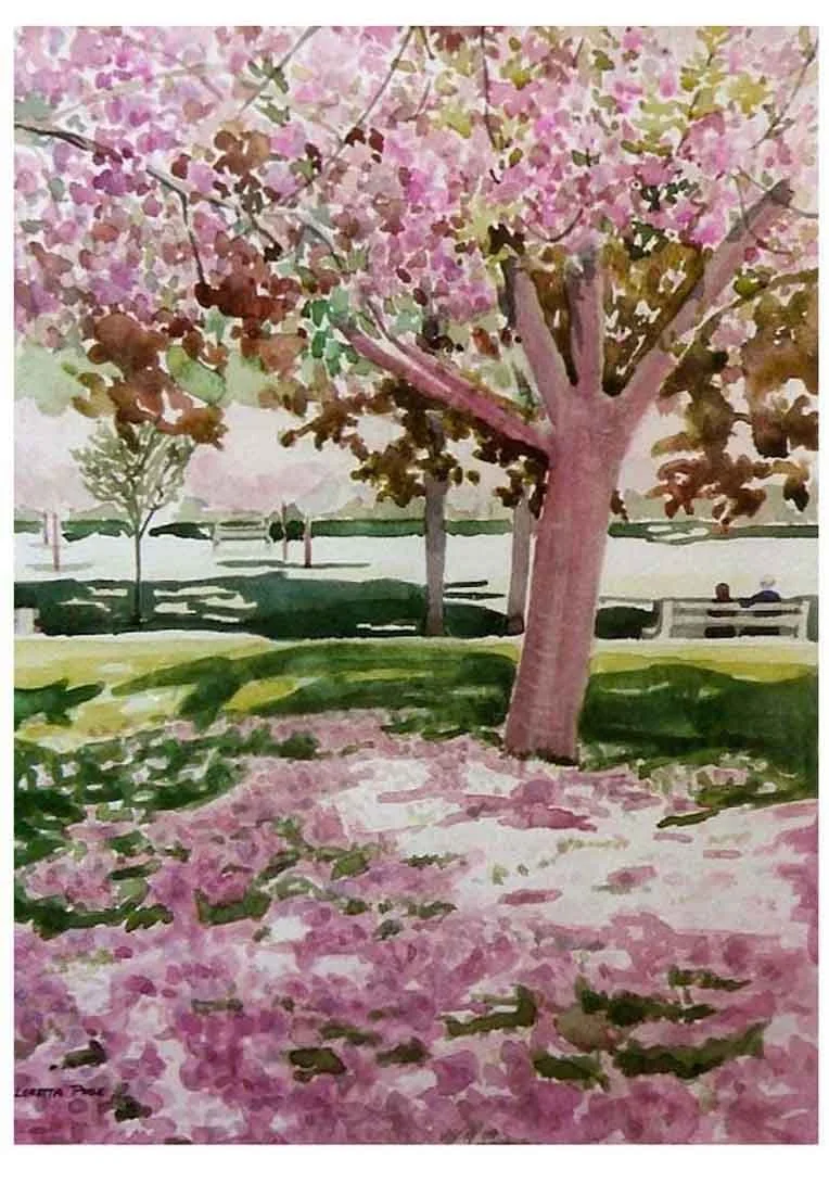 Cherry Trees