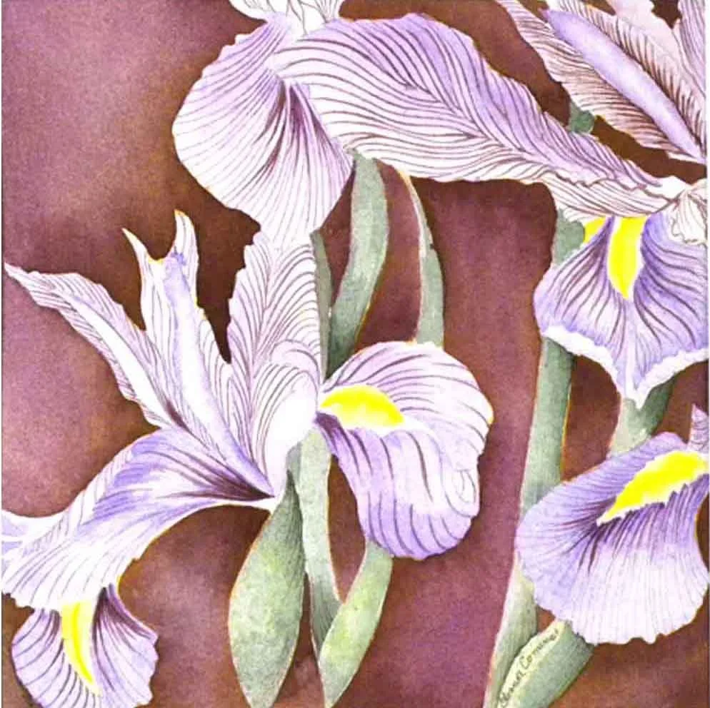 Iris
