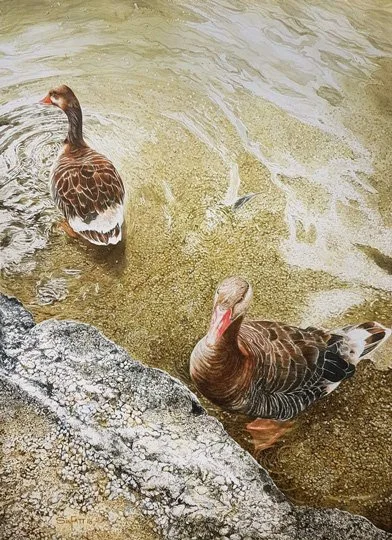 Together 
76cm x 56cm
2019 International Watercolour Triennial - Varna