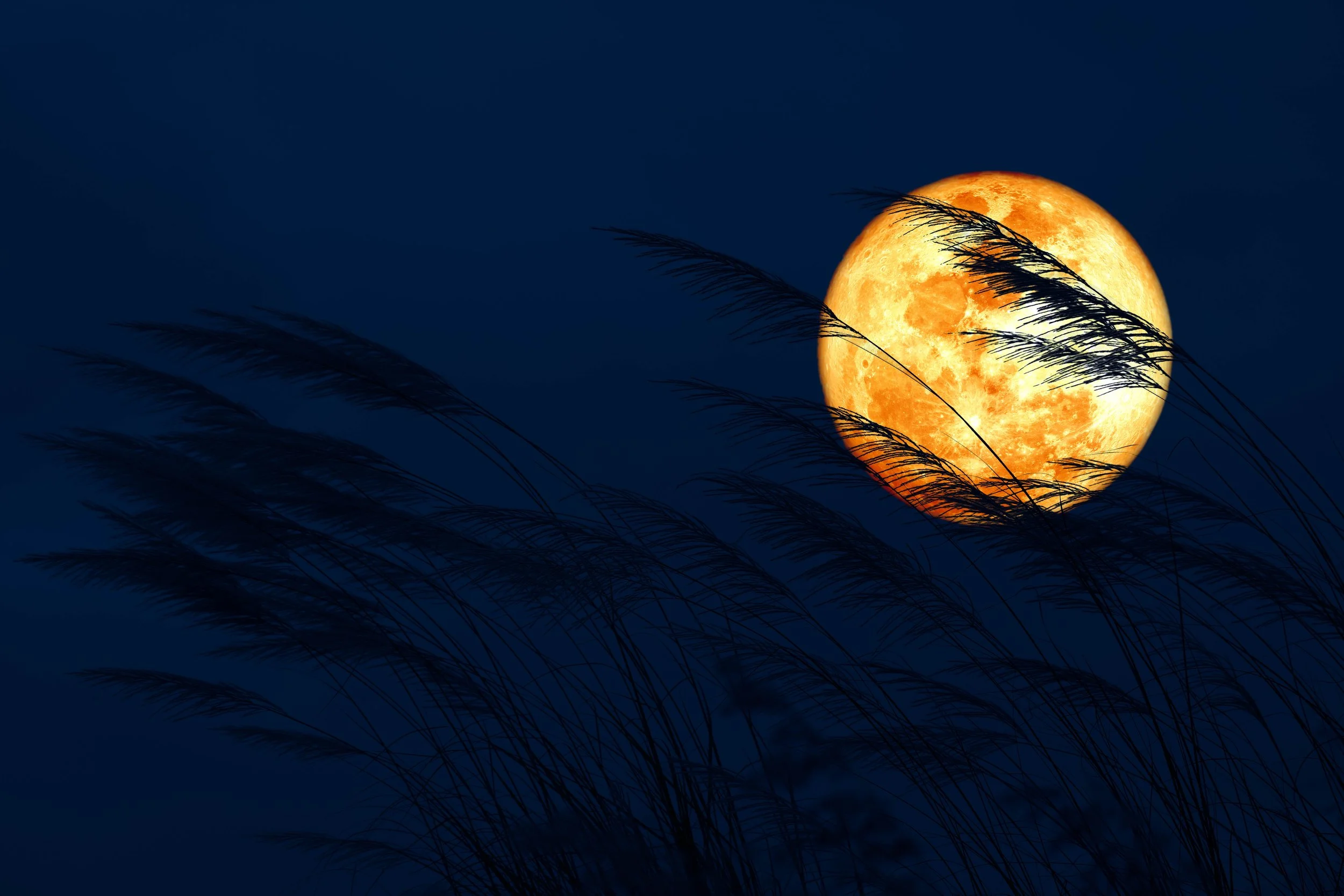 September Moon Magic: Blood Moon, Corn Moon & a New Moon in Virgo