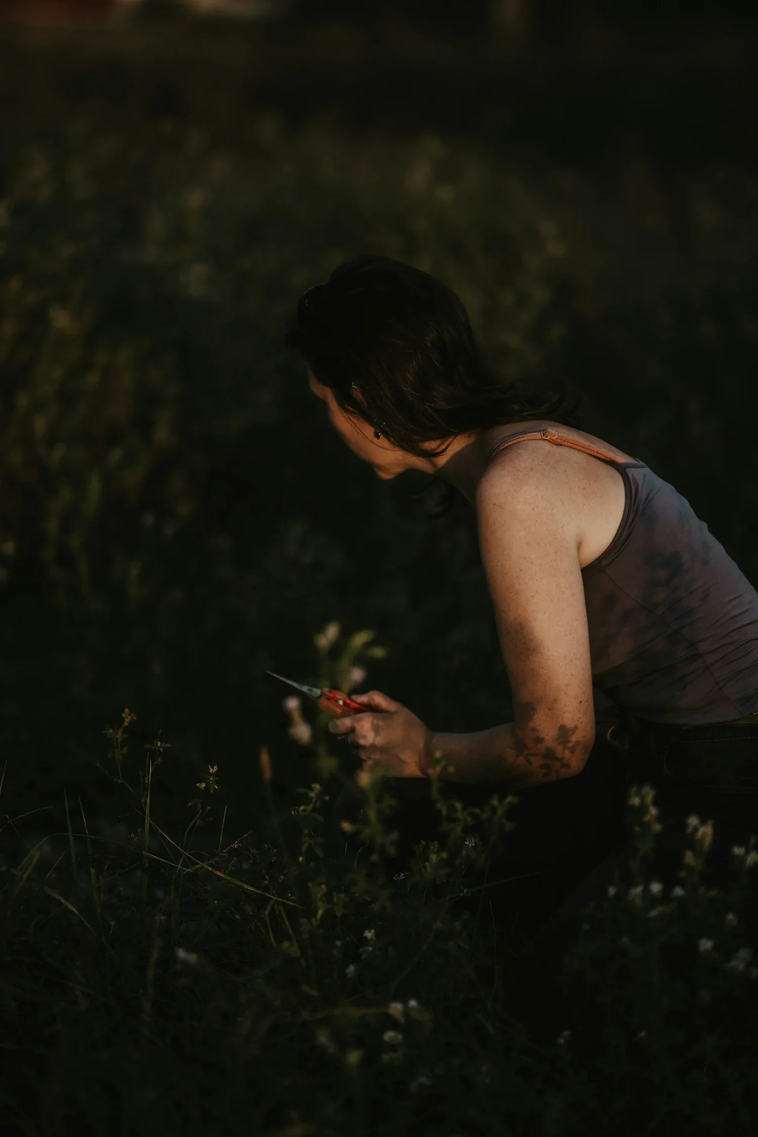 When Women’s Healing Is Heresy: From the Witch Hunts to Tylenol Myths