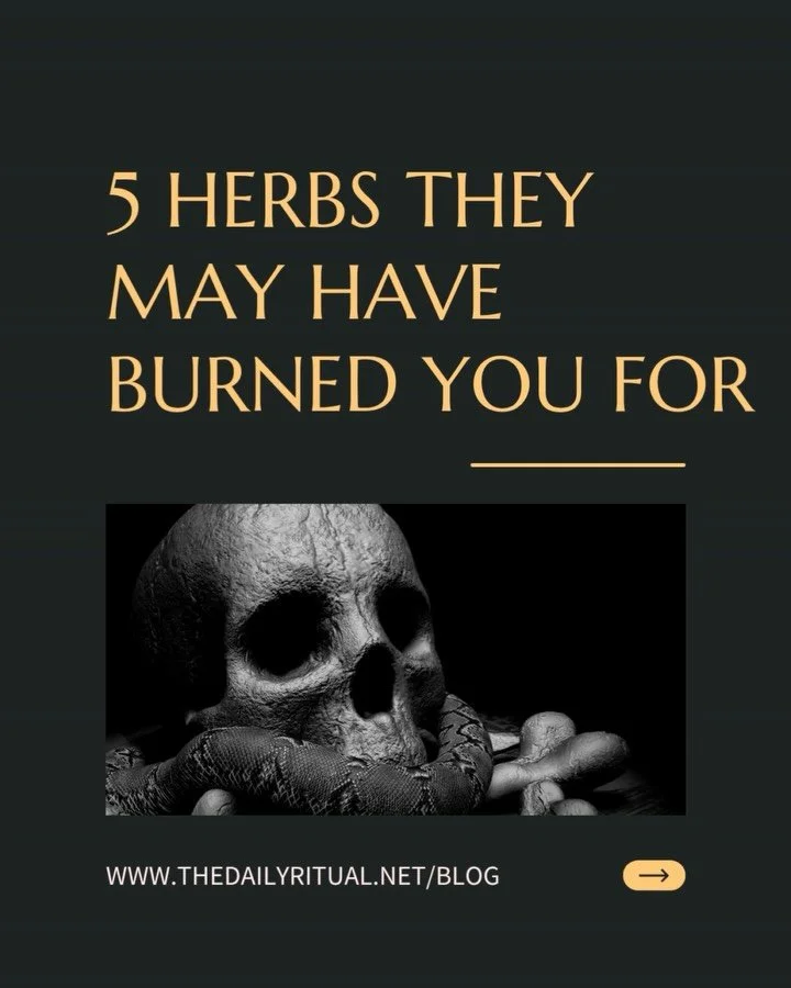 🌿 Some herbs were once so feared, they could cost you your life.
From Belladonna&rsquo;s beauty to Mandrake&rsquo;s myth, these plants were the tools &mdash; and the downfall &mdash; of those who dared to heal with nature.

Discover the lore and leg