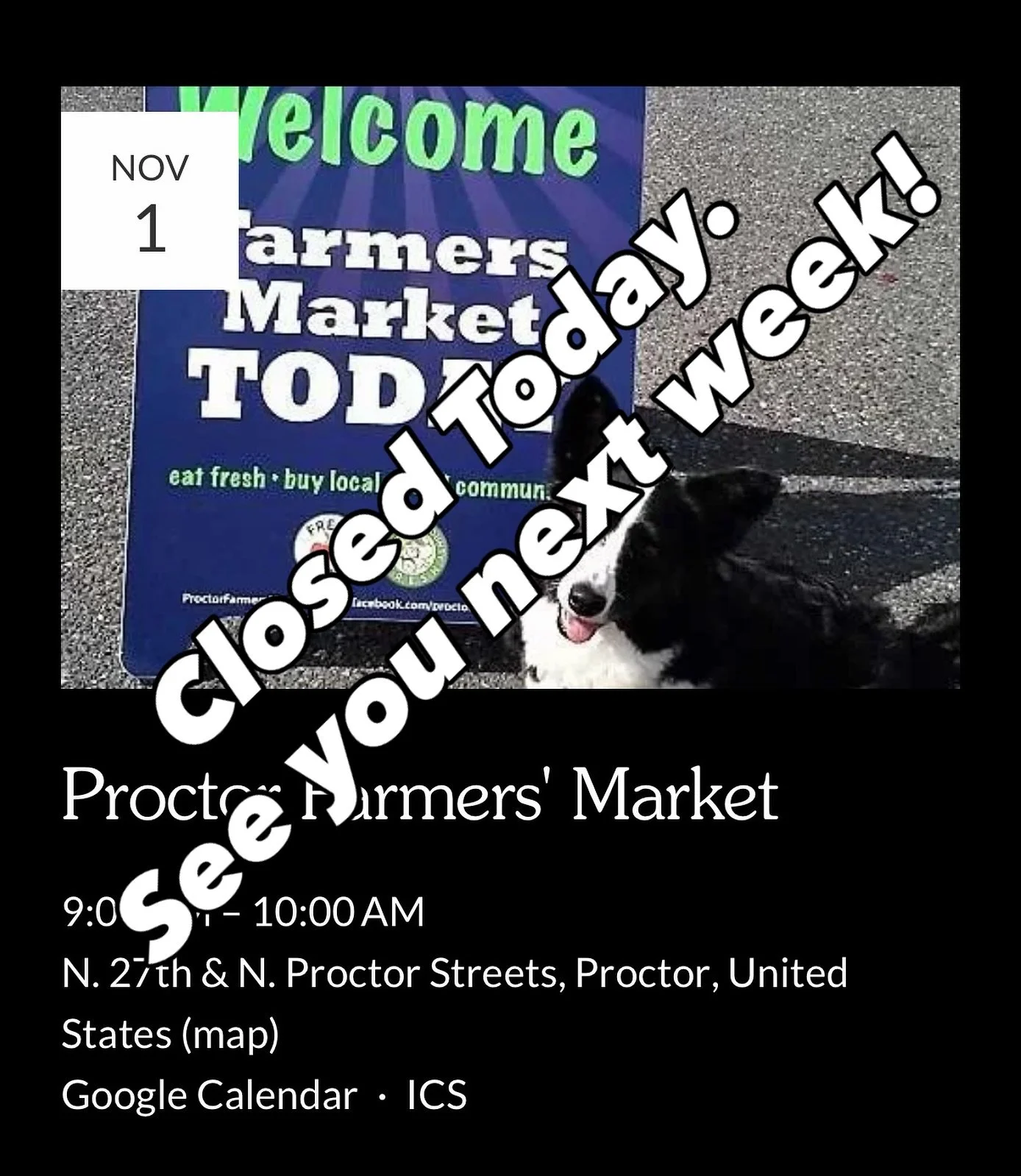 Hey friends 🌬️ The Tacoma Proctor Market is still happening today, but The Daily Ritual will be sitting this one out. With the gusty winds and my back still healing, I&rsquo;m taking a little extra care this weekend so I can be back in full swing ne