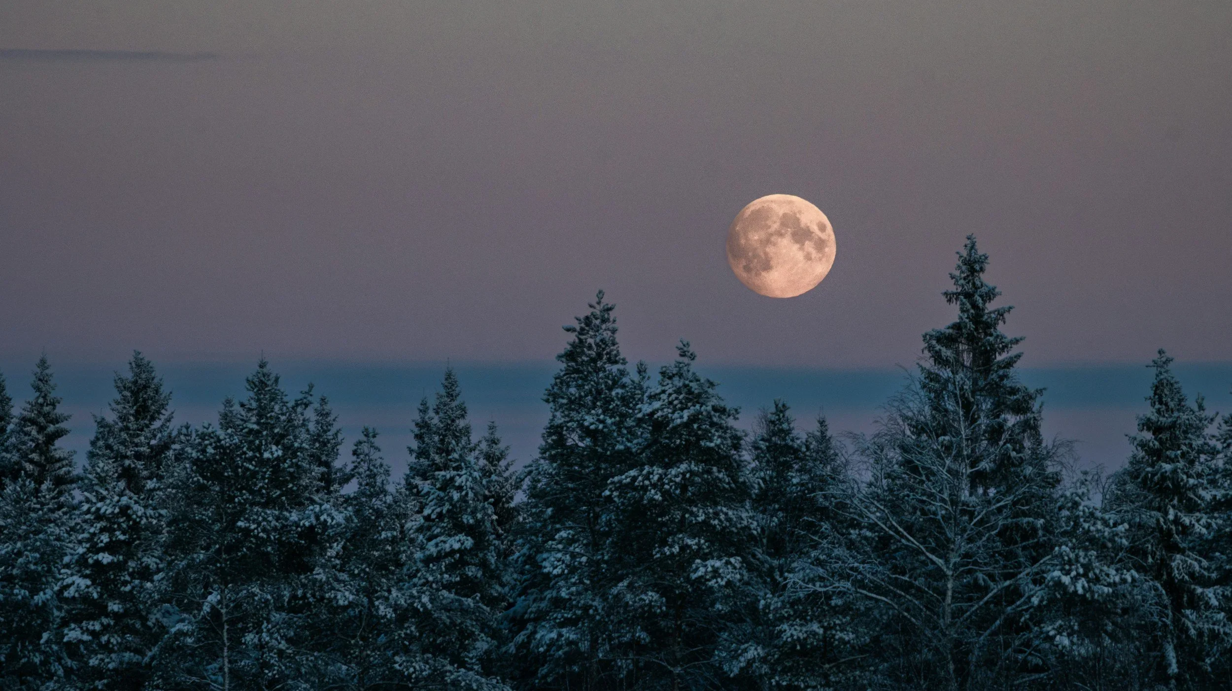 Beaver Moon, Mourning Moon &amp; Lunar Transition: The Quiet Glow of November