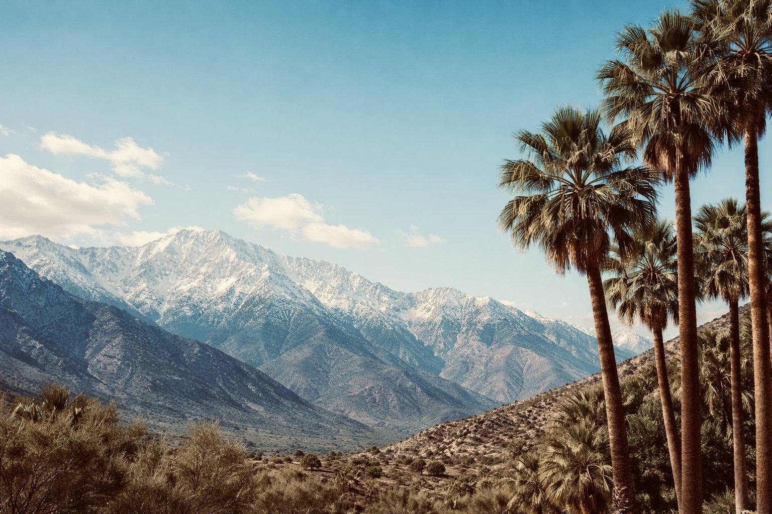A desert landscape with tall palm trees in the foreground, snow-capped mountains in the background, and a blue sky with scattered clouds.