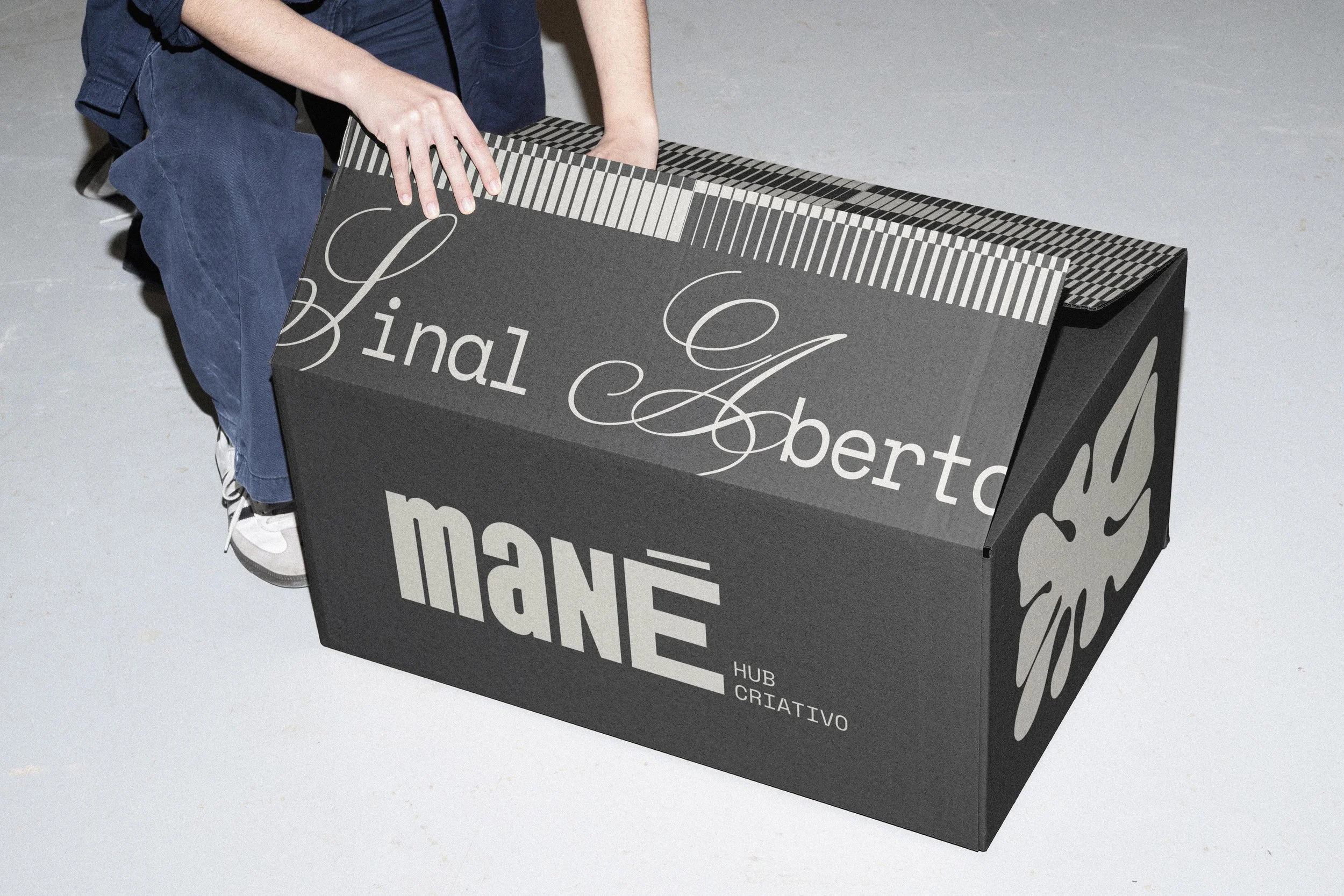 caixa de transporte copiar.jpg