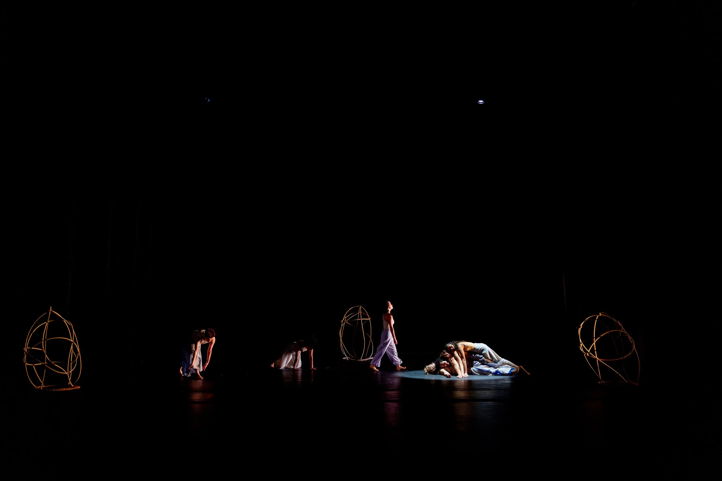 20241202 IC Dance 1 123 large.JPG