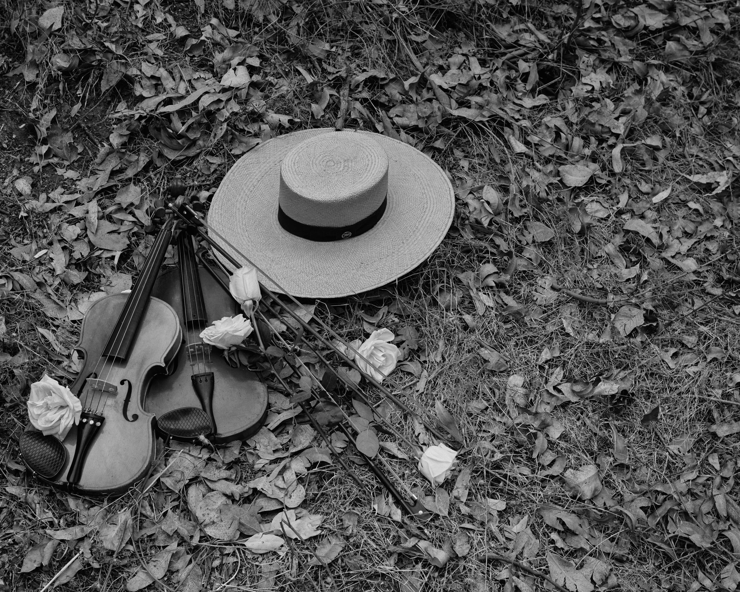A straw hat, violin, violin bow, two roses, and a music stand with two music sheets are arranged on a bed of fallen leaves and dry grass in black and white.