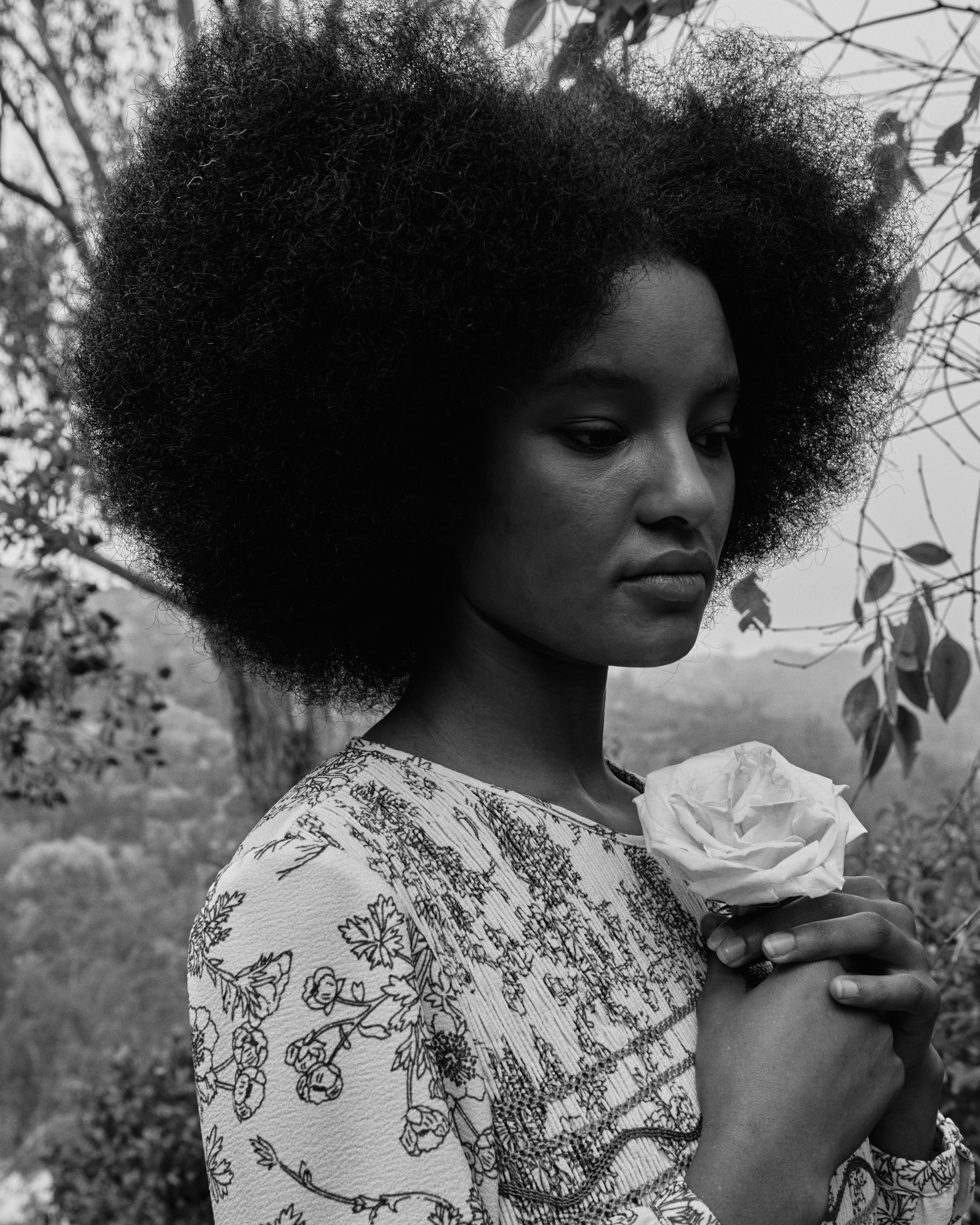 Black and white photo of a woman with a large afro hairstyle holding a white rose close to her chest, outdoors with trees in the background.