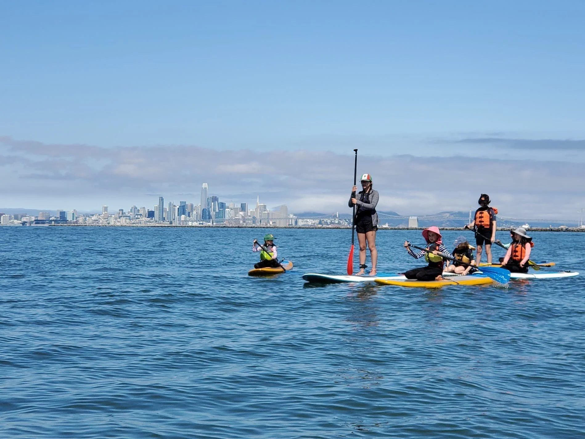 Discovering Bat Rays: Guardians of Coastal Marine Life
