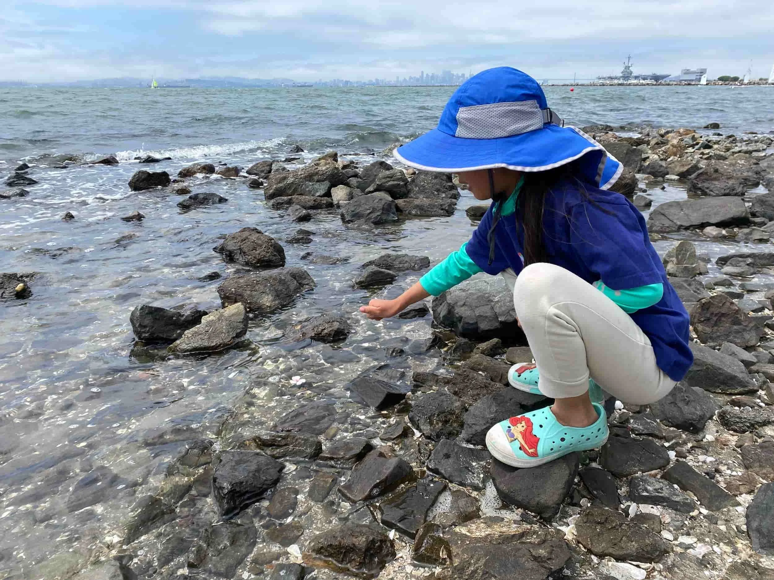 A young girl wearing a blue sun hat, a blue jacket, and white pants crouches on a rocky shoreline, learning marine biology.