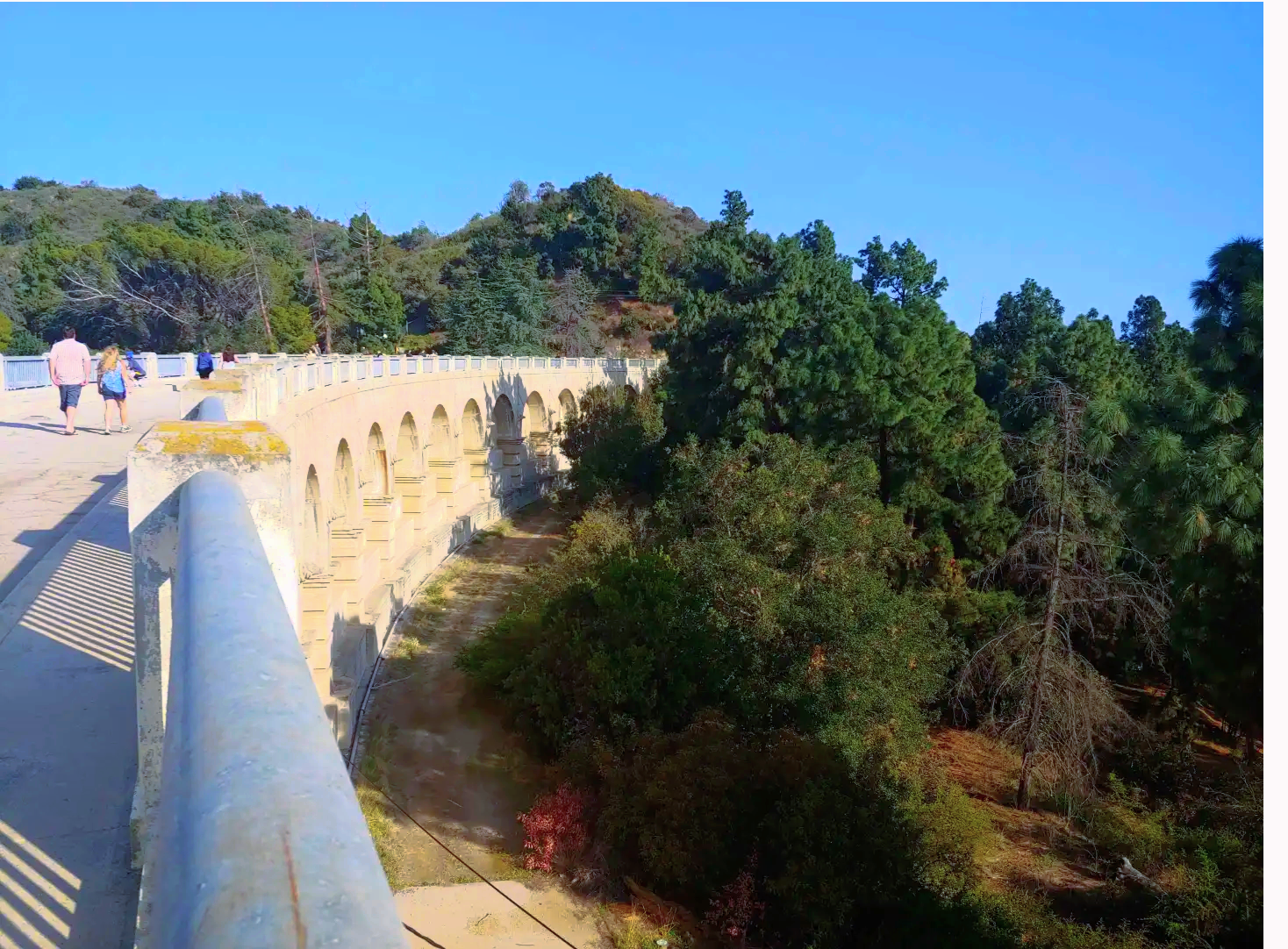 Celebrate the 101st Anniversary Lake Hollywood and Women’s History Month!